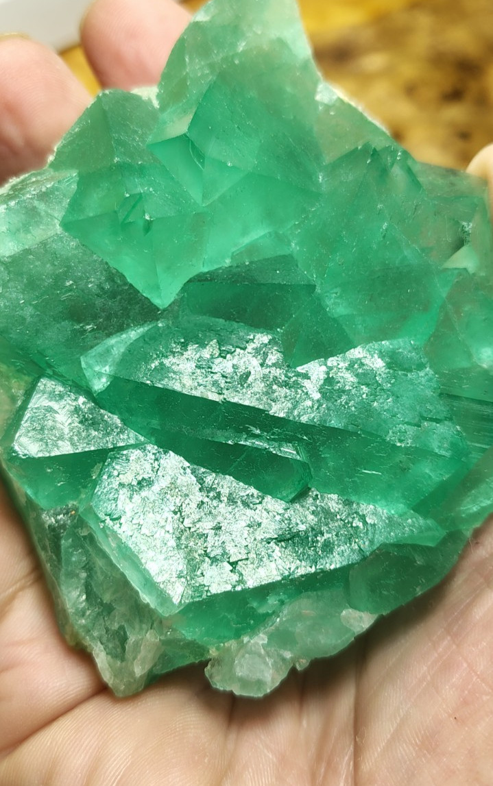 GREEN FLUORITE OCTAHEDRONS CLUSTER TOP CLASS Riemvasmaak South Africa