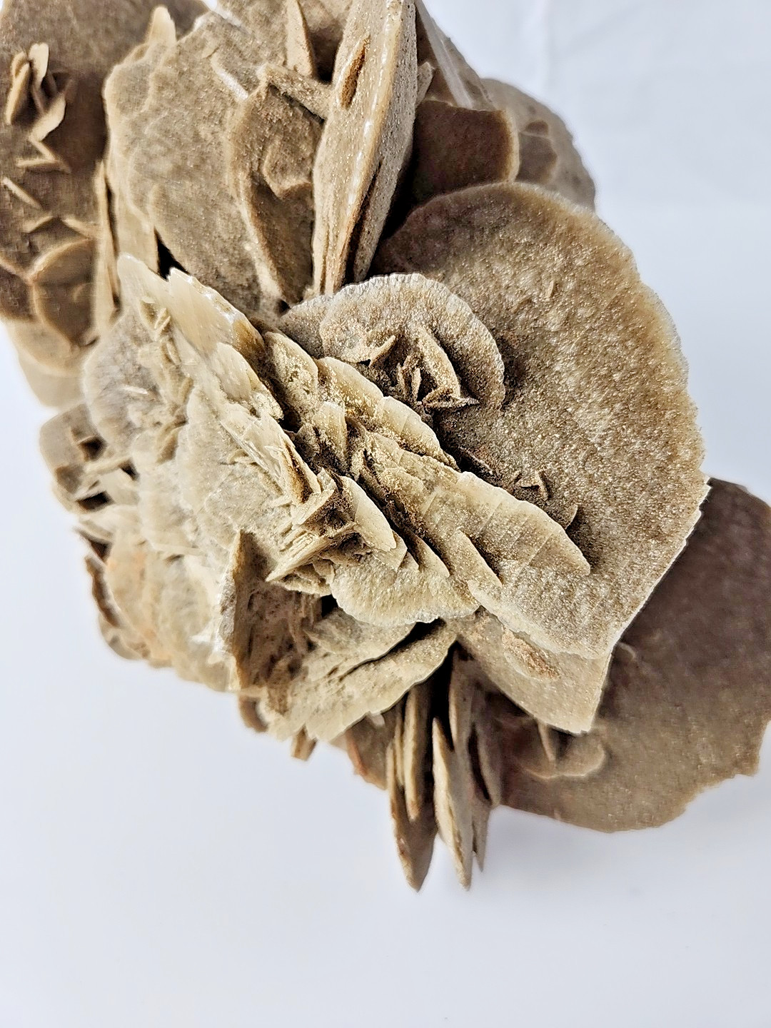 6 LB 7 OZ 2.94 kg Selenite Desert Rose Gypsum Minerals Crystals