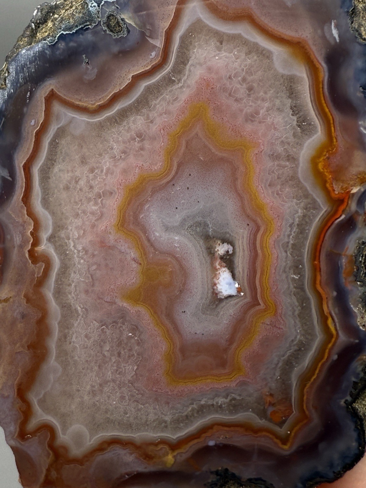 SEE VIDEO High-Grade Multicolor Moroccan Agate | High Atlas | Collector Specimen
