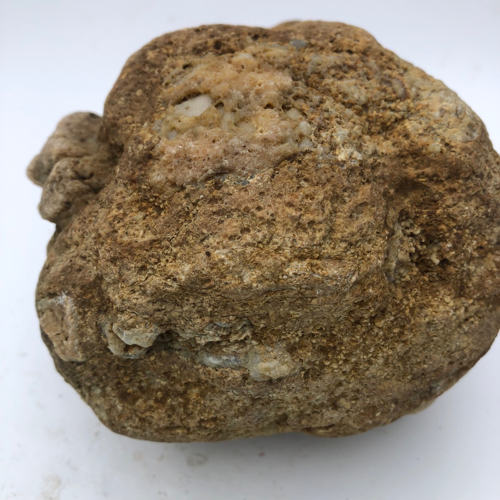 4 lb Unopened Kentucky Geode Rattler Break Your Own Hand Picked Natural Quartz