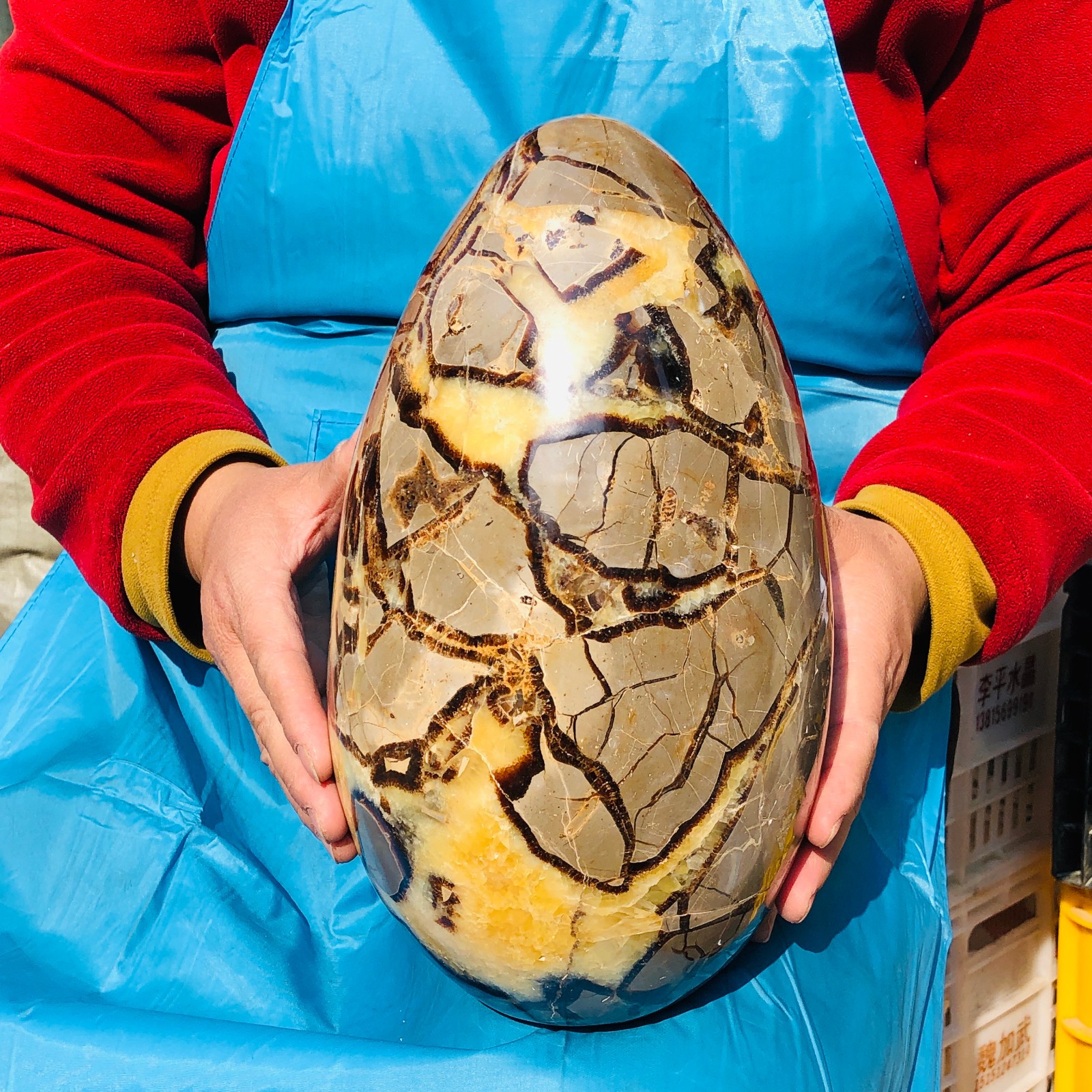 10kg Natural Dragon Septarian egg Quartz Crystal decoration