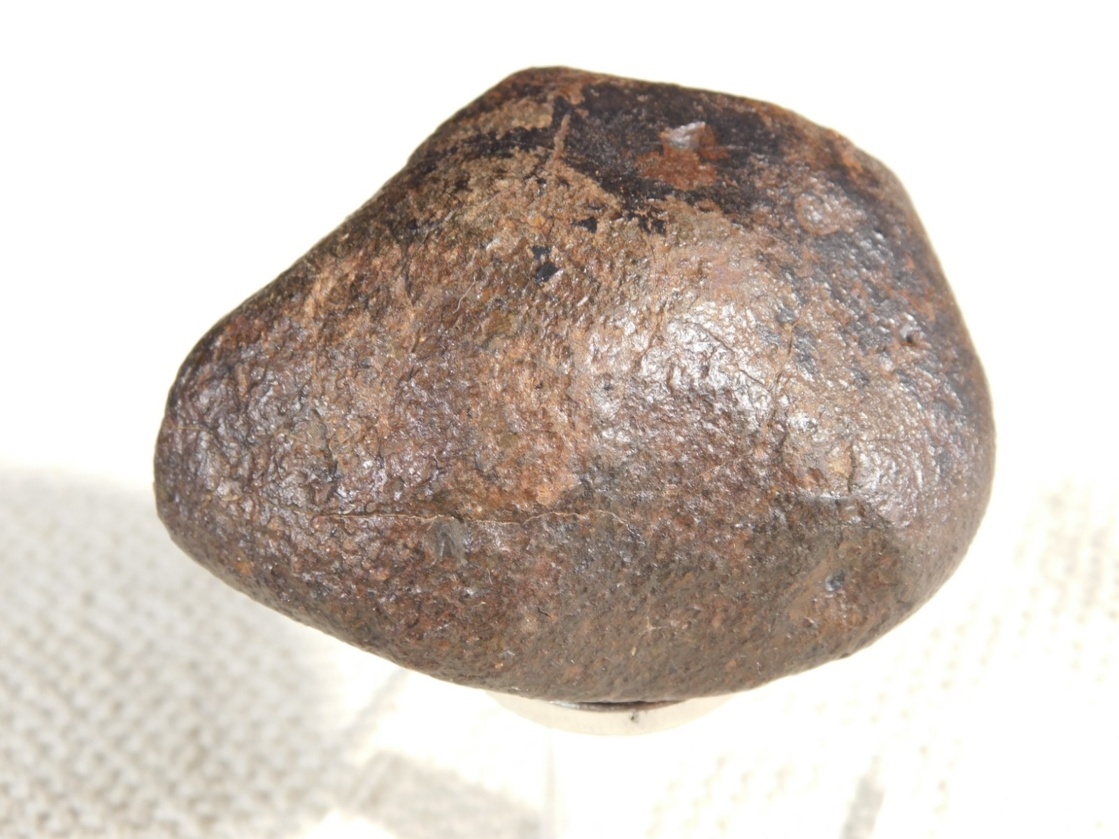 Nice! and 100% Natural Stony METEORITE FELL in Libya 181gr