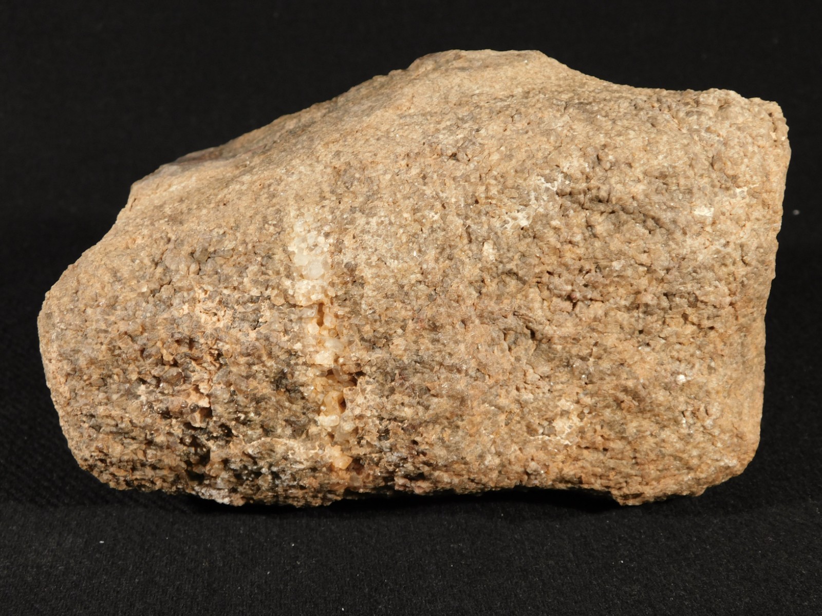 Big! Petrified Wood Fossil With SMOKY Quartz CRYSTALS Utah 2362gr