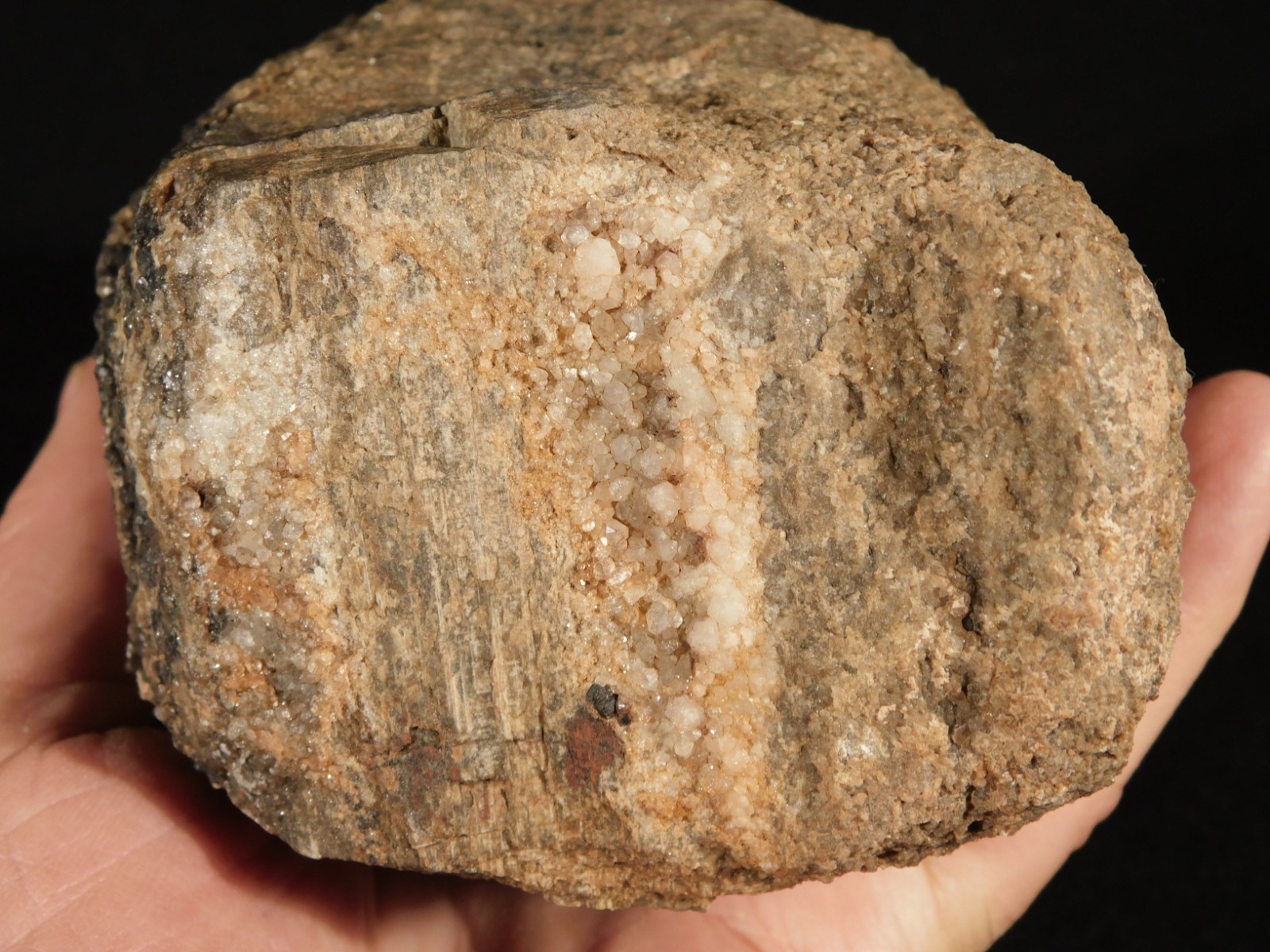 Big! Petrified Wood Fossil With SMOKY Quartz CRYSTALS Utah 2362gr