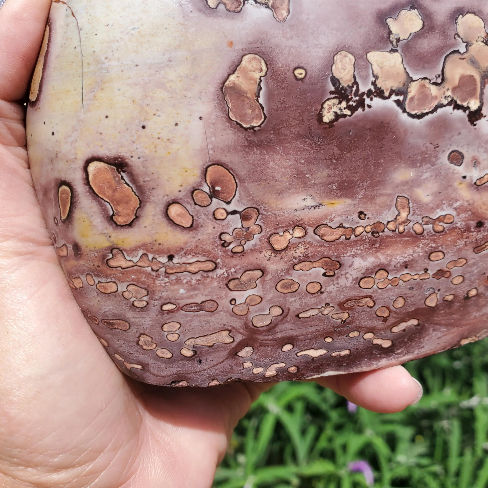Picture Stone Jasper Dendritic Dendrite Display Freeform | 3lbs 1oz | 1330 Gram
