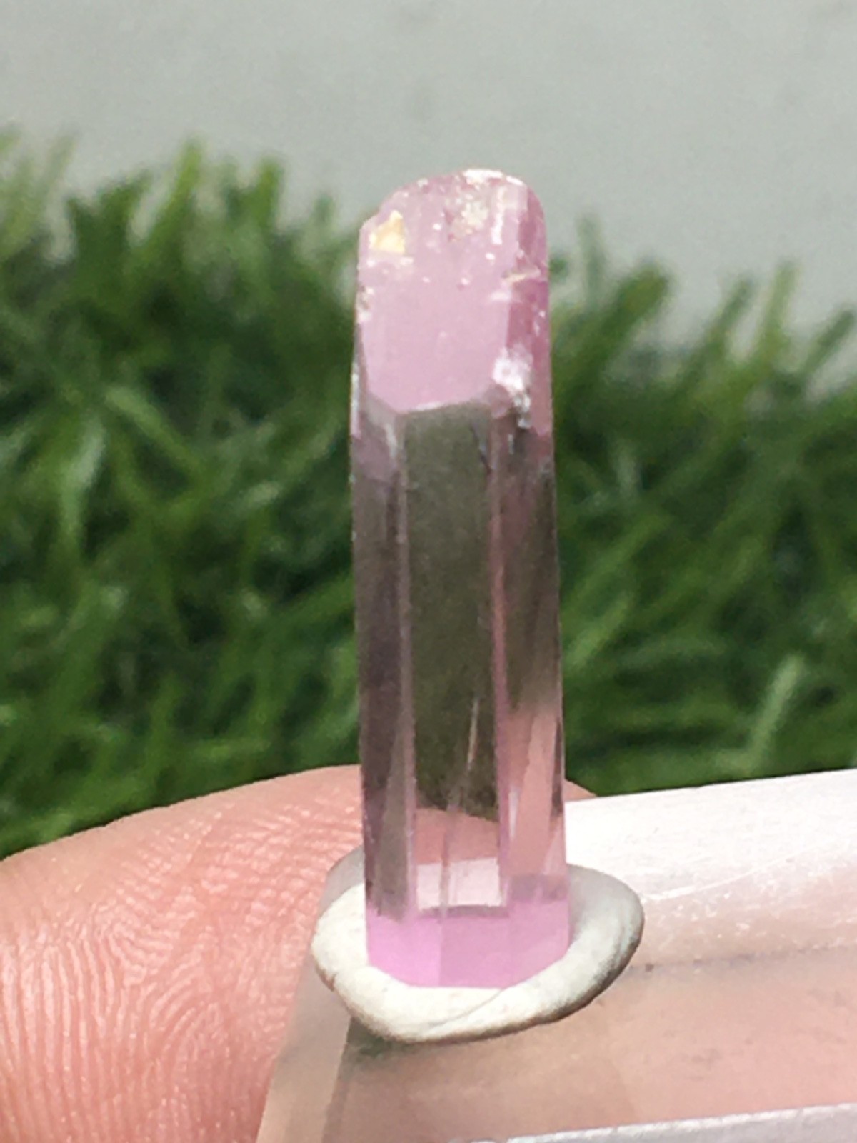 9.80 Carats AMAZING NATURAL POLISHED KUNZITE CRYSTAL FROM AFGHANISTAN (77zb)