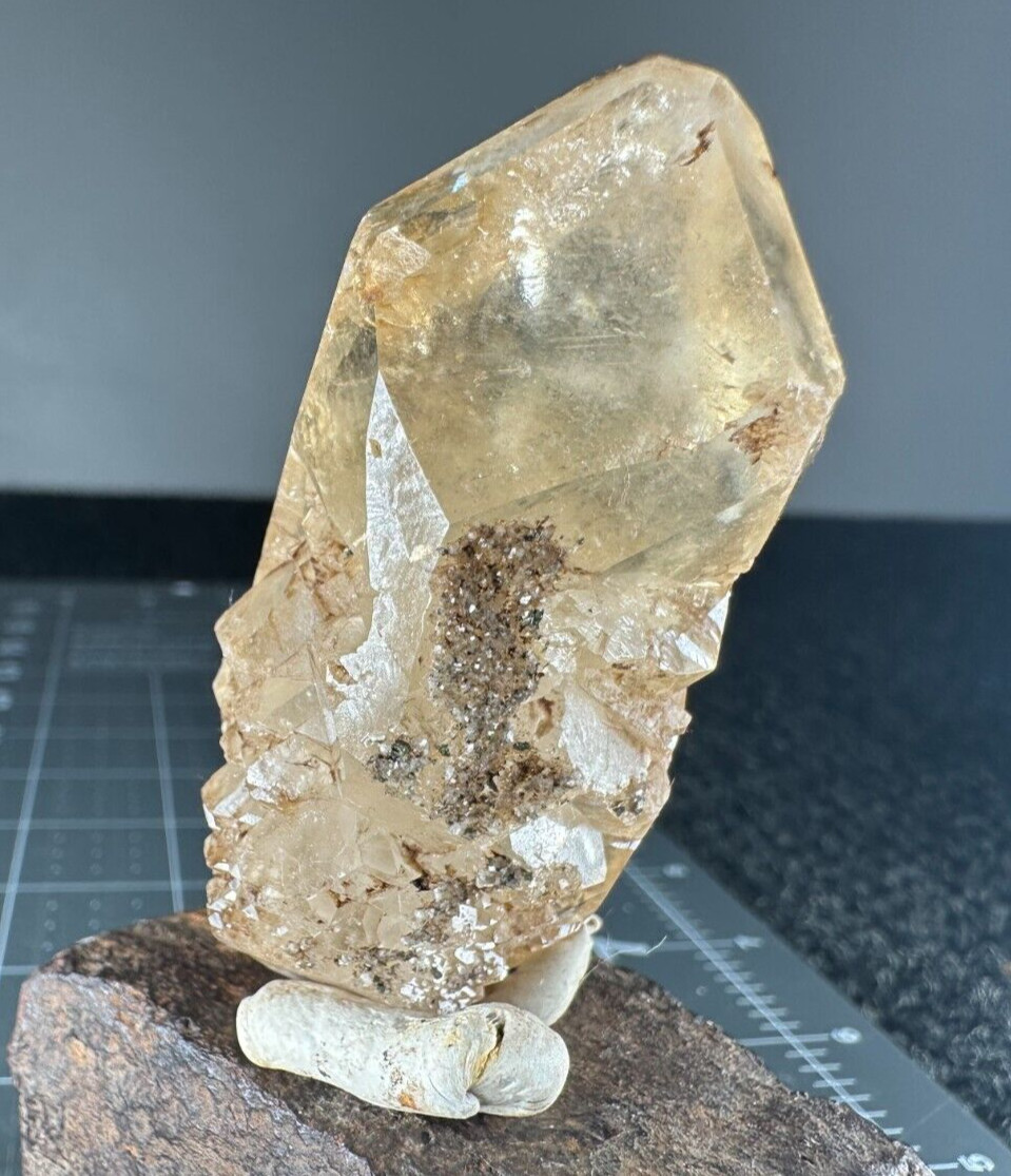 ➤ 2-1/2 Inch RARE CALCITE GROWTH Pleasant Ridge Rensselaer Indiana VIDEO➤829