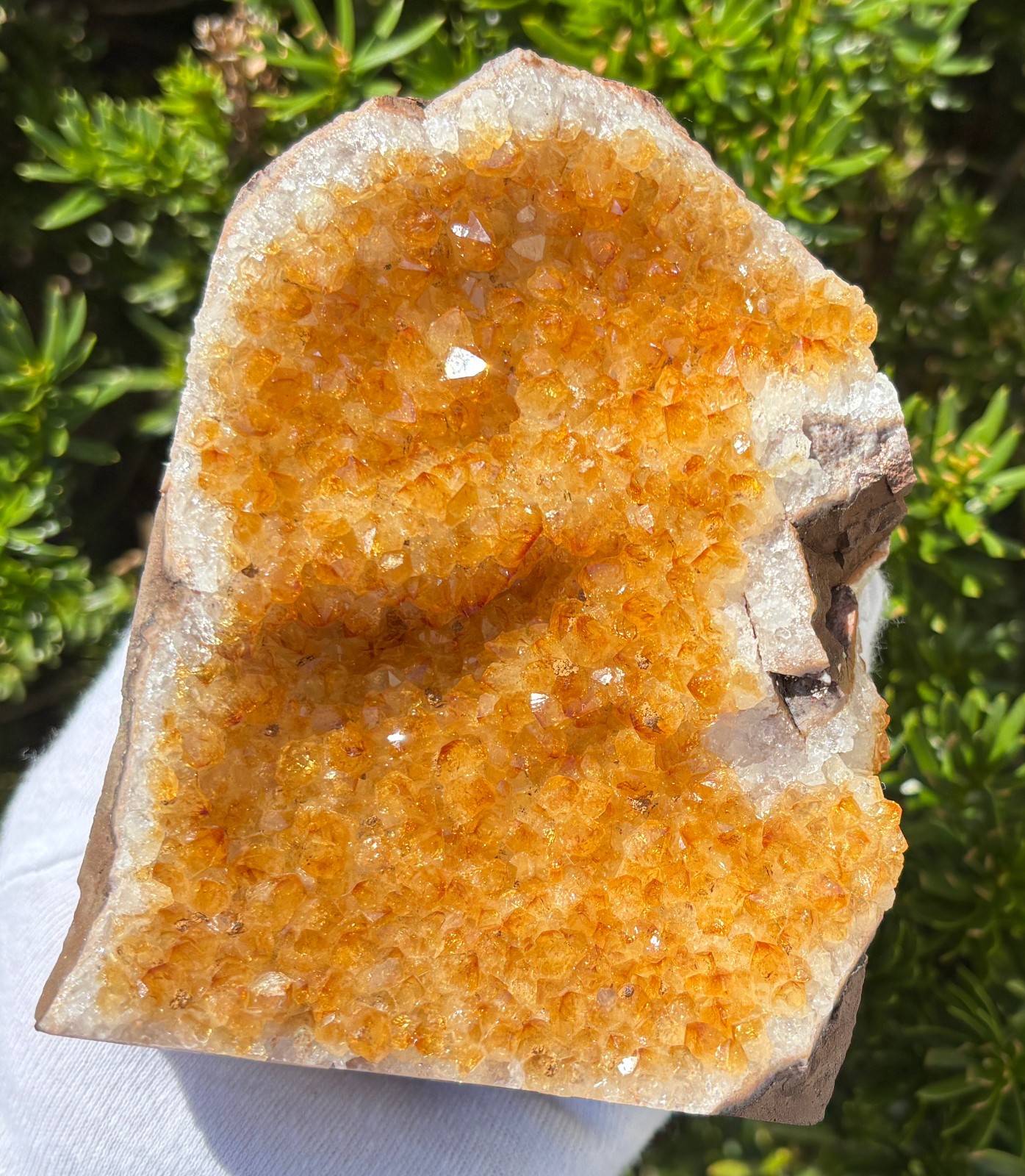 USA SALE 5.3LB LOT 3 CITRINE FREE STANDING SPECIMEN TREATED AMETHYST GOLD GOLDEN
