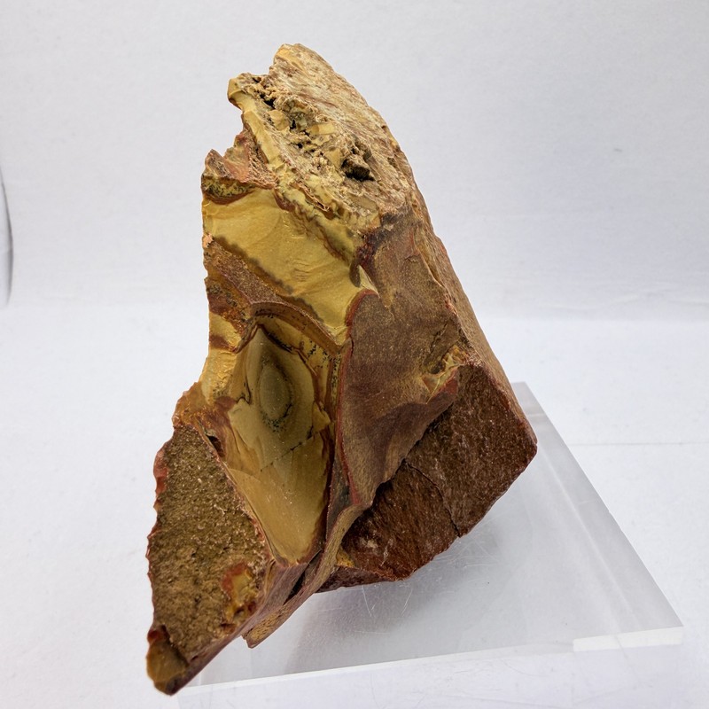 OWYHEE Picture Jasper End Cut Polished Display Stone Oregon USA