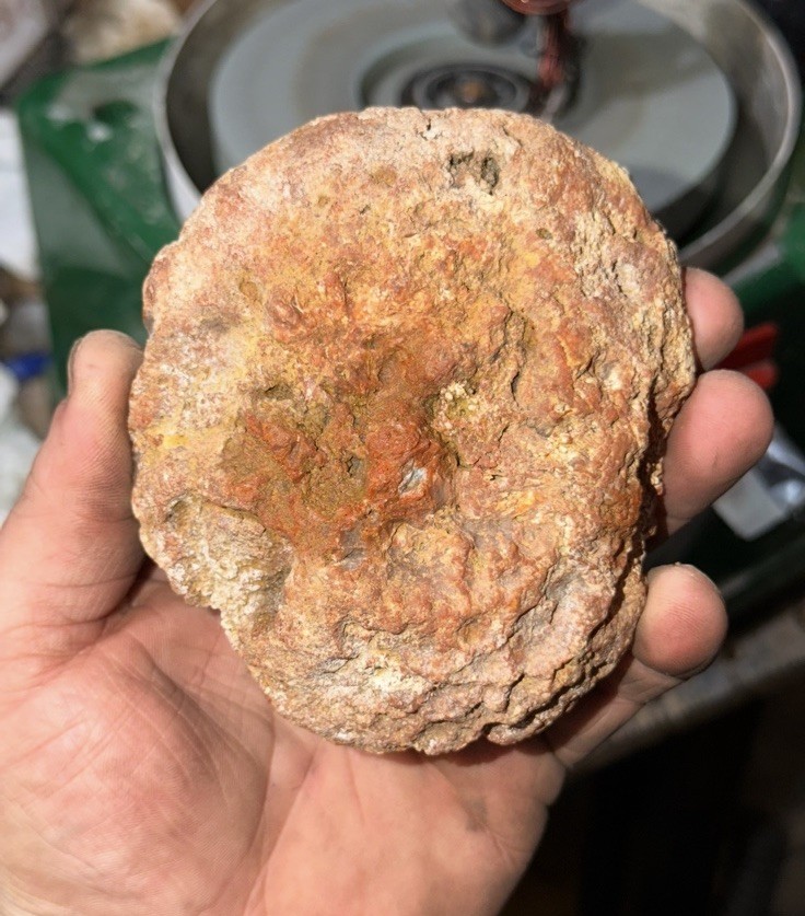 EXTREMELY RARE COLOR! | Large Kentucky Agate mirror polished half Estil County