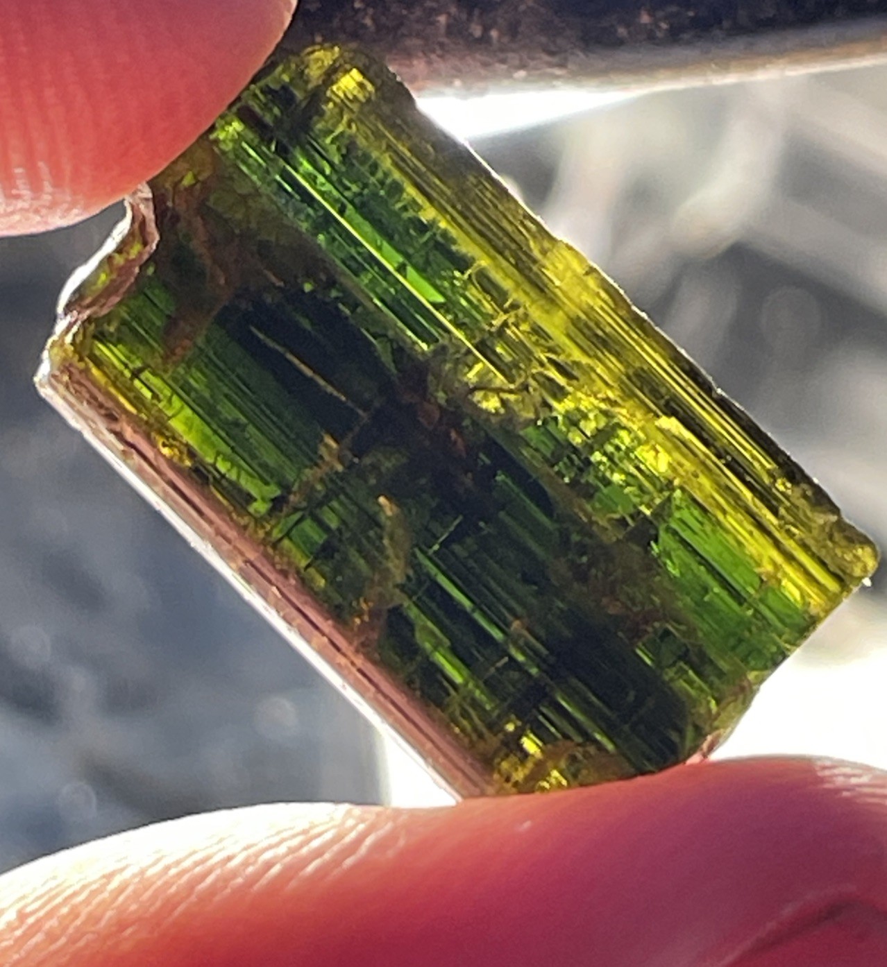 BEAUTIFUL RARE CHROME DRAVITE TOURMALINE THUMBNAIL TANZANIA, AFRICA