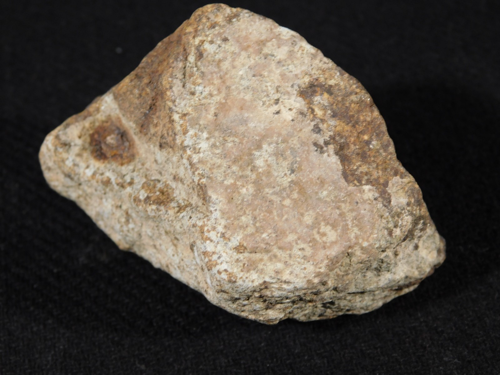 Classified NWA 8245 METEORITE 100% Natural Erfoud, Morocco 147gr