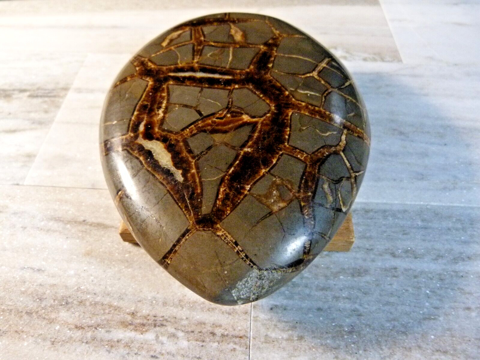 Natural Polished Septarian Geode Crystal 700g 5 1/4 Inches
