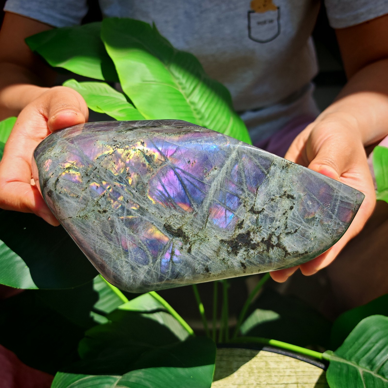 2.75LB TOP Natural Purple light labradorite quartz spectrolite crystal