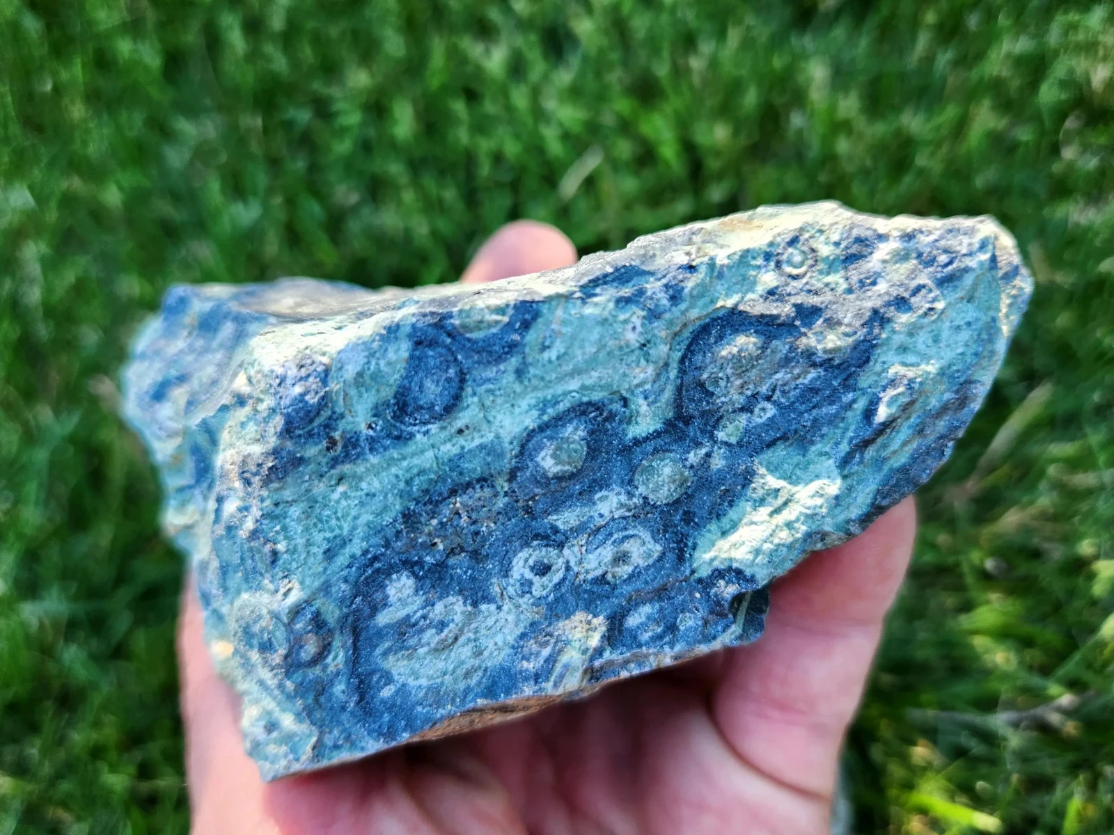 4.5 lbs Kambaba “Crocodile” Jasper – 5 Pieces – Ideal for Lapidary or Tumbling