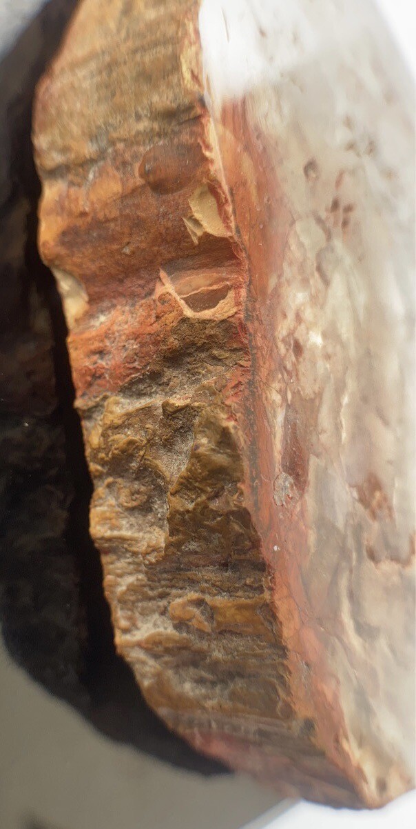 Petrified Wood Slab 308 Gram/both Sides Polished,Bark Ring On/Beautiful Specimen