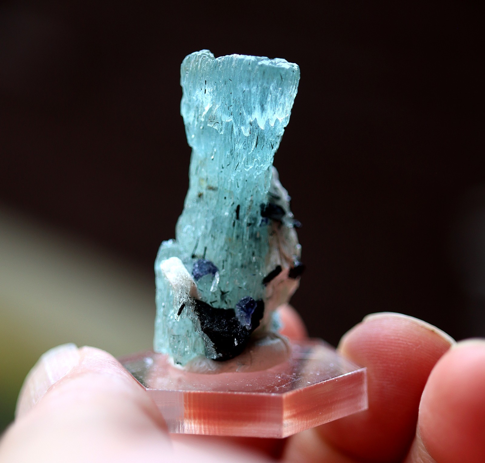 Etched Aquamarine, Schorl and Feldspar. Erongo Region, Erongo, Namibia