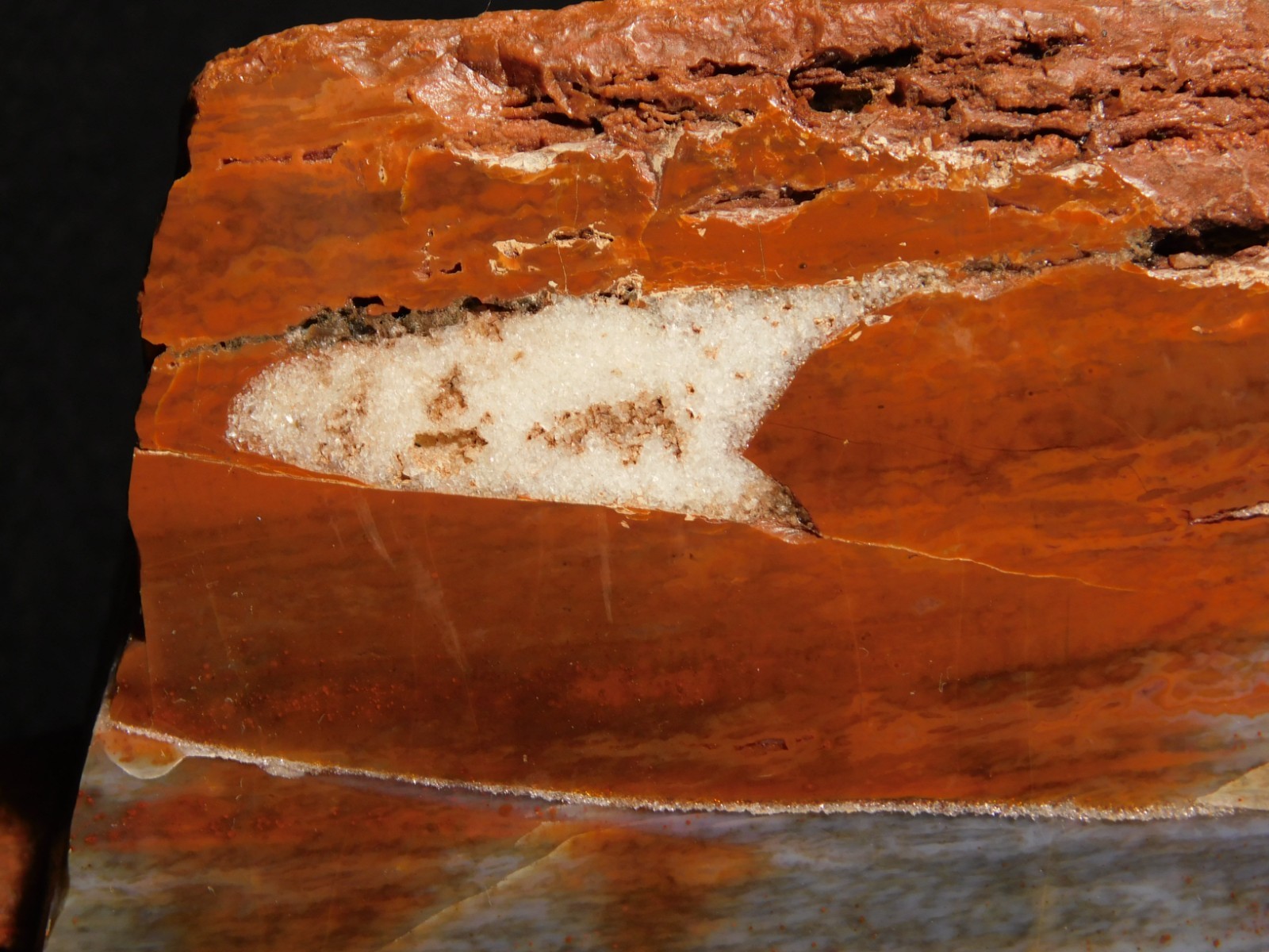 Nice BARK! BIG Polished Petrified RAINBOW WOOD Fossil Arizona 2313gr