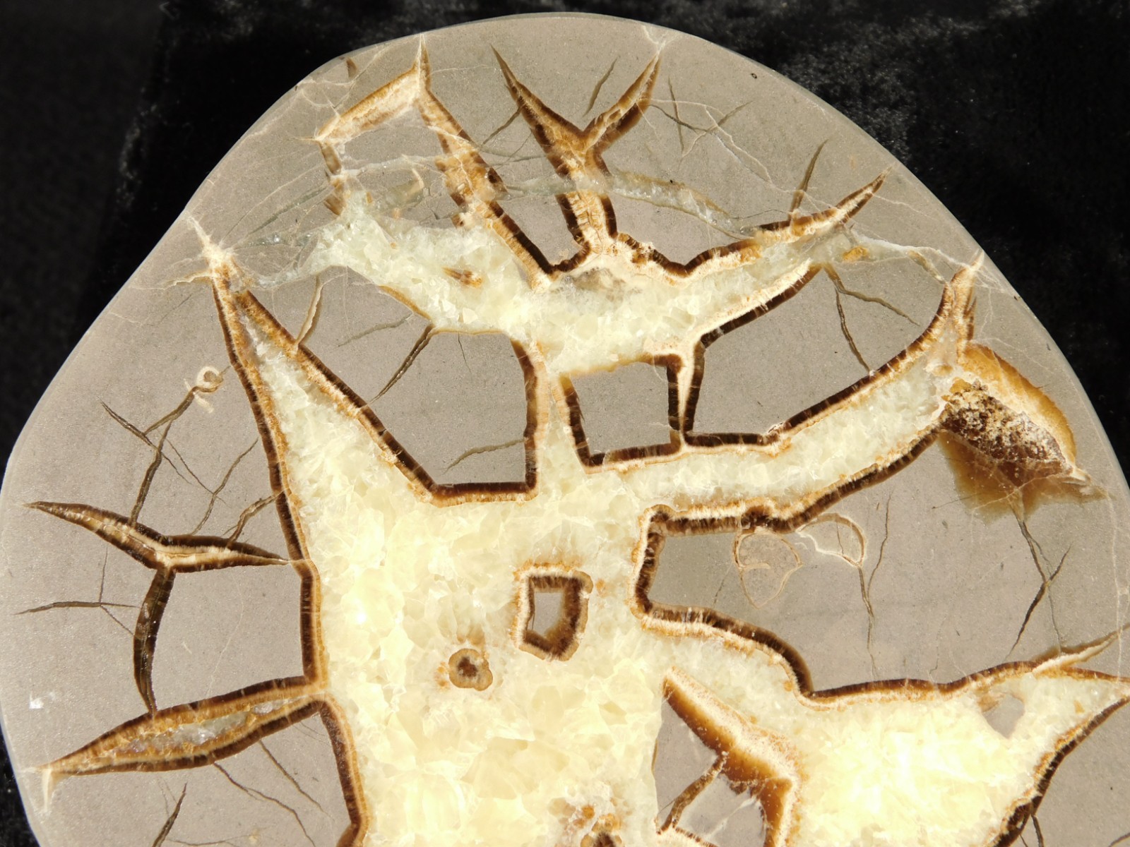 Polished FLUORESCENT SEPTARIAN Nodule Slice 100% Natural w/Stand 244gr