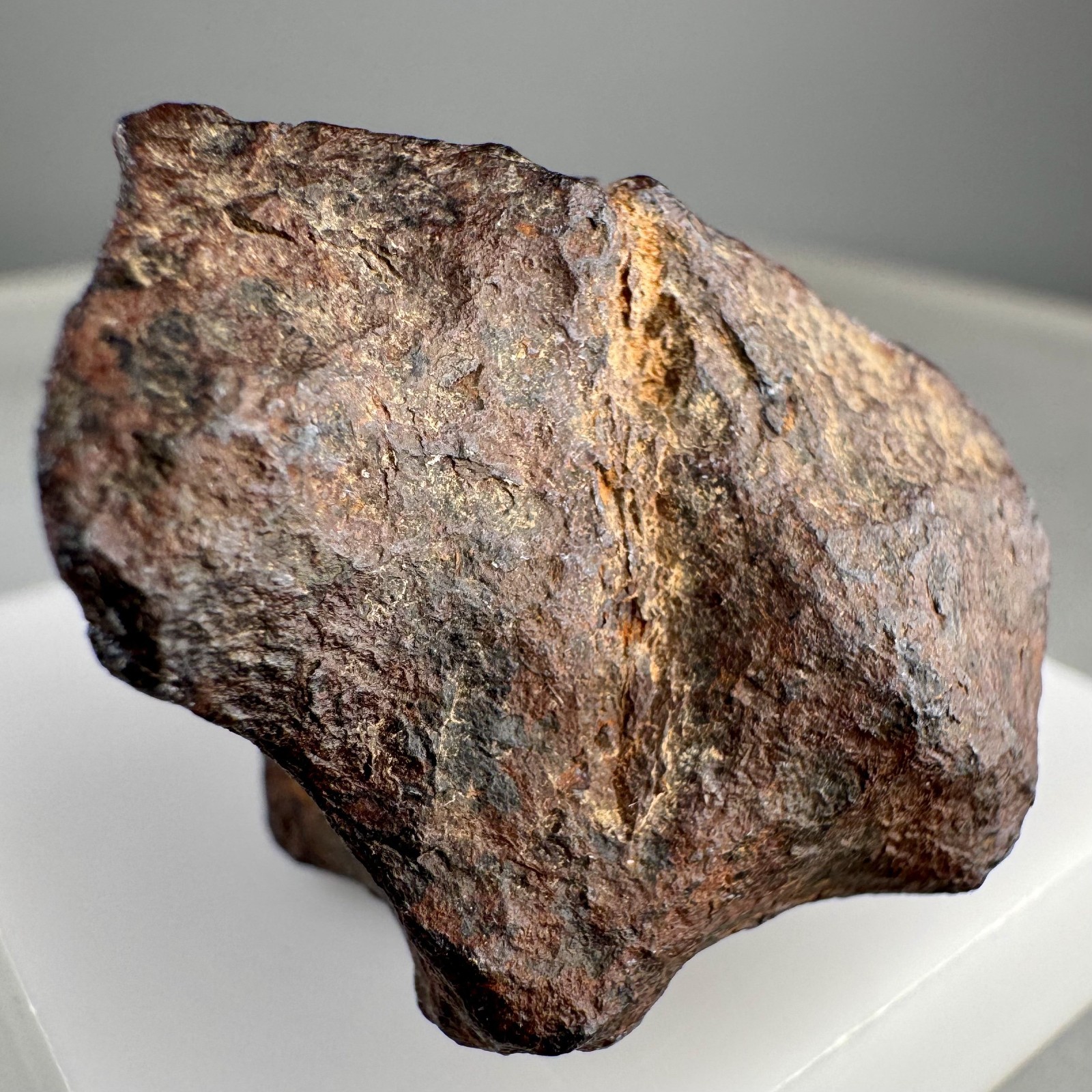 Iron Meteorite: Mundrabilla meteorite, Mundrabilla Roadhouse, Australia