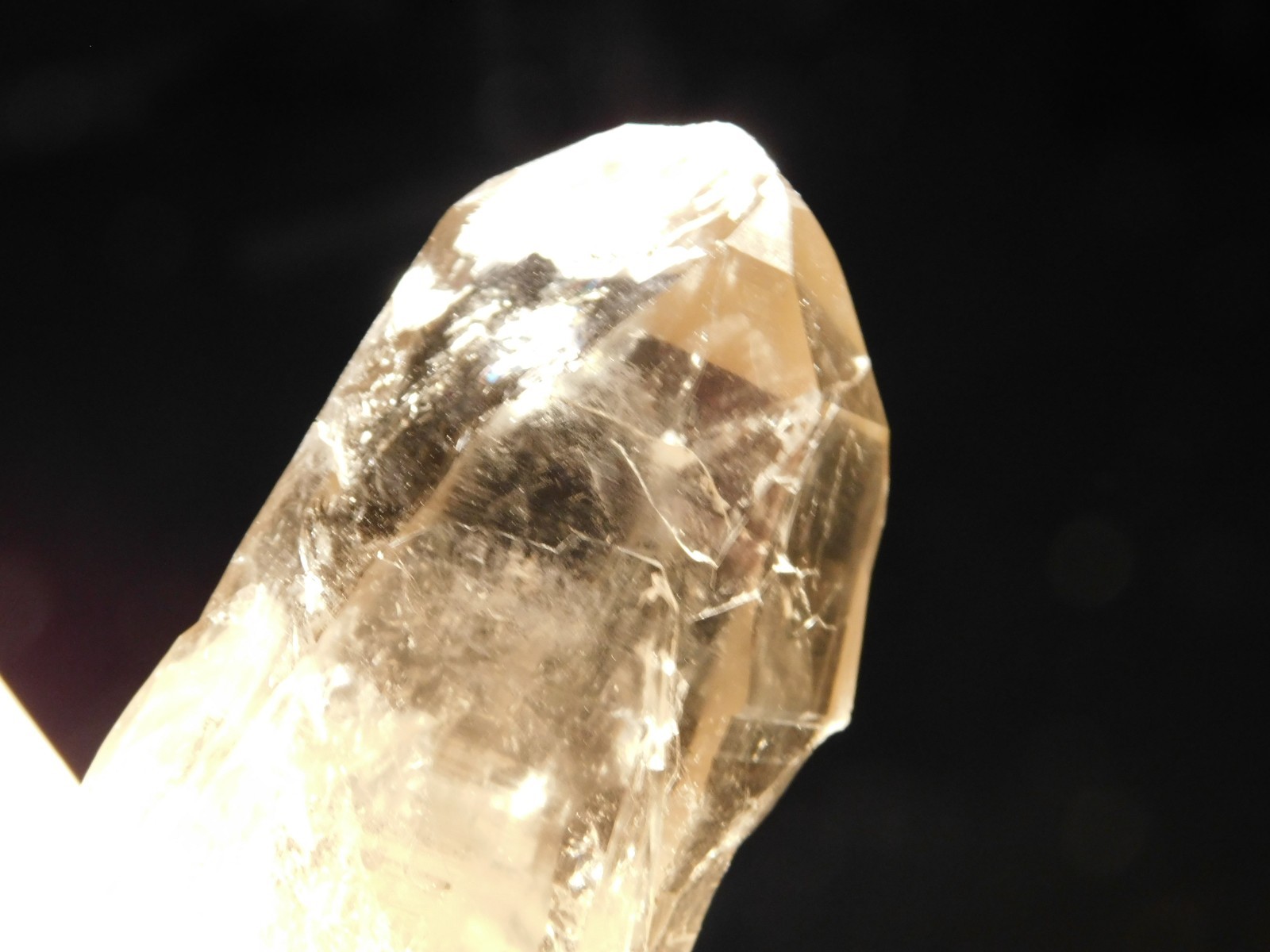 BIG! Free Standing! SMOKY Quartz Crystal Cluster From Brazil 792gr