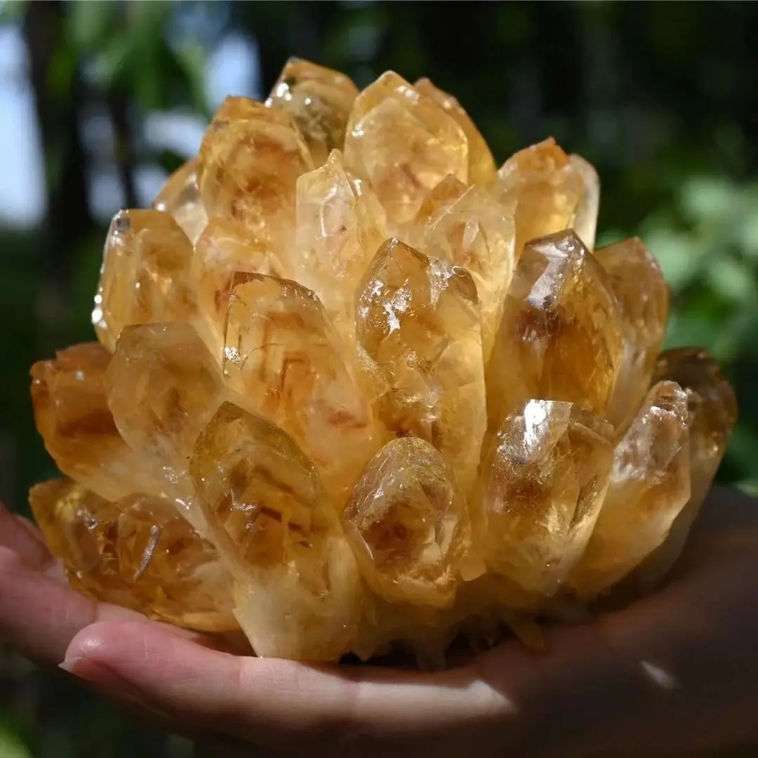 300g Natural Citrine Quartz Geode Cluster Yellow Crystal Collection Home Decor