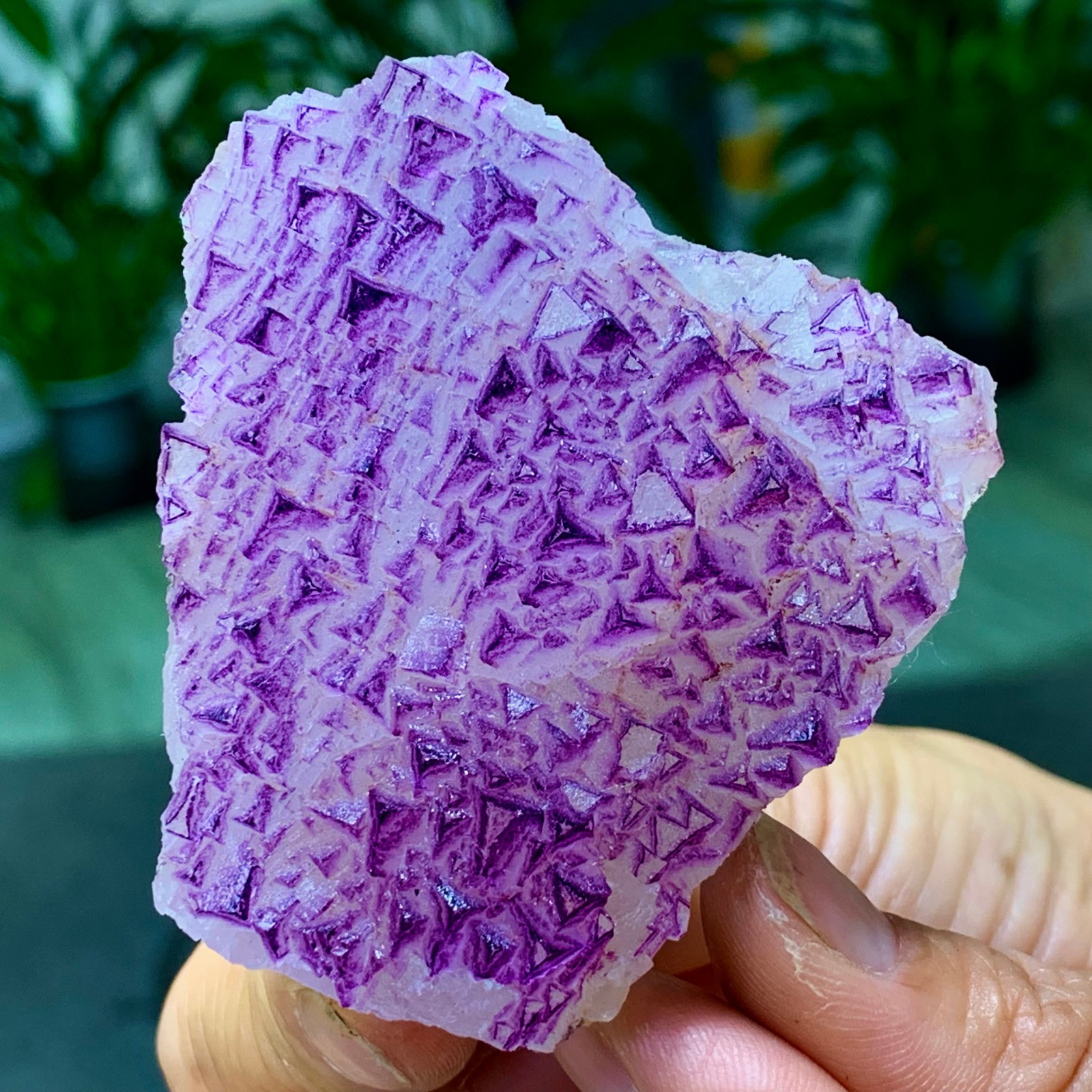 153G Natural fluorite purple edged cubic crystal mineral sample