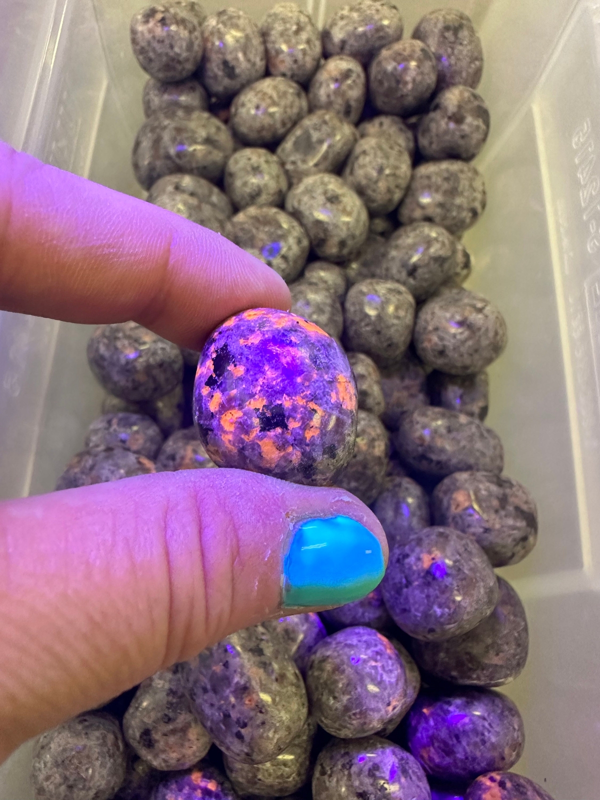 Yooperlite Tumbled Stone, Natural Yooperlite from Lake Superior, USA
