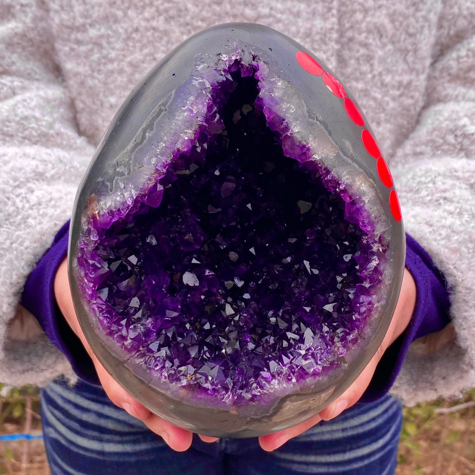 8.15LB Natural amethyst Dinosaur egg Quartz Crystal specimen healing