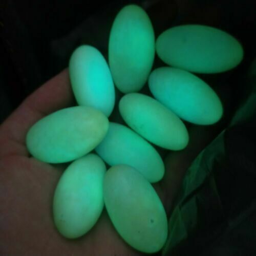 1pcs Glow In The Dark Tibetan Wealth God Ancient Luminous Egg Stone Old Dzi Bead