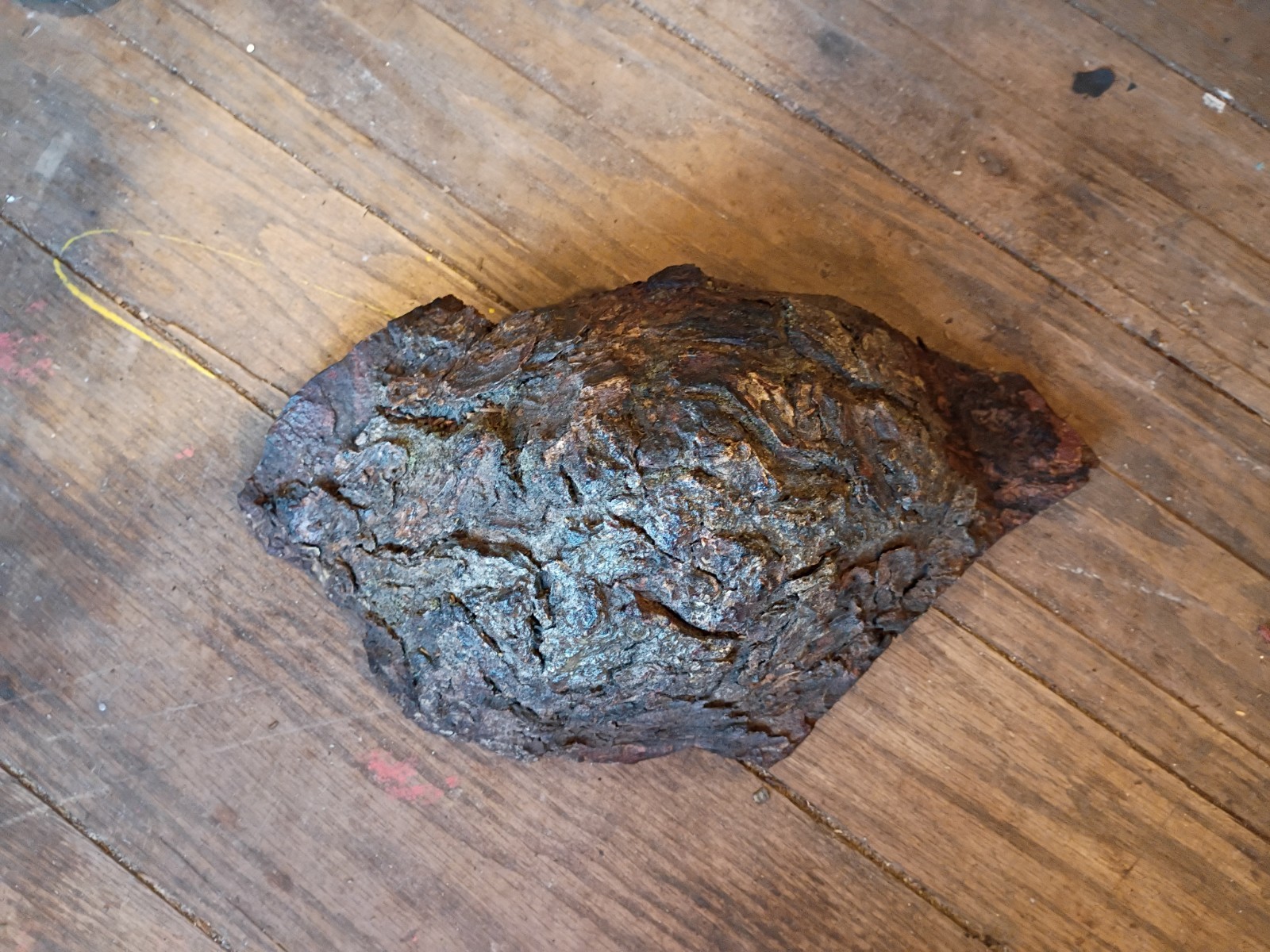 Dark Brown Rough preserved Natural pine tree bark burl Specimen