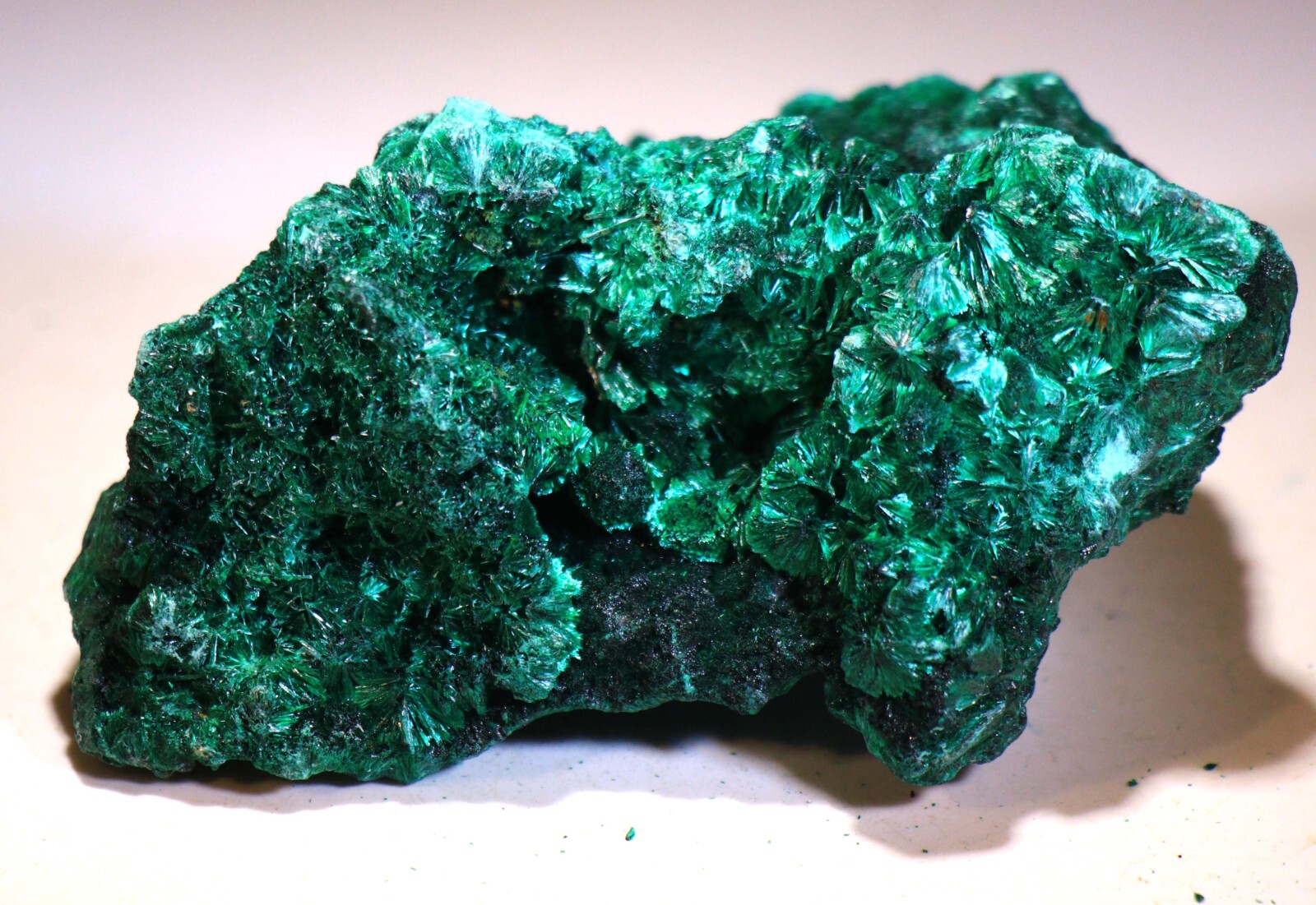 3.75″ 9.4 oz Stunning Fibrous Malachite Cave/Cluster, Congo! M547