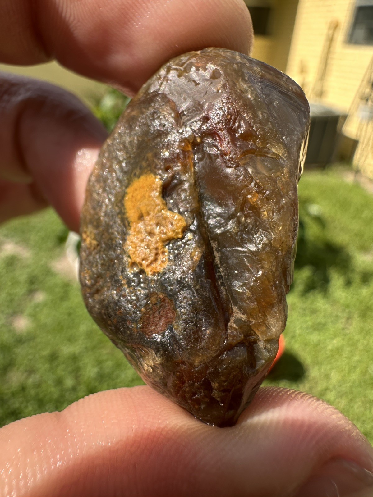 3.65 oz Lake Superior Agate Lapidary Lot 5 Multicolor Beauty’s