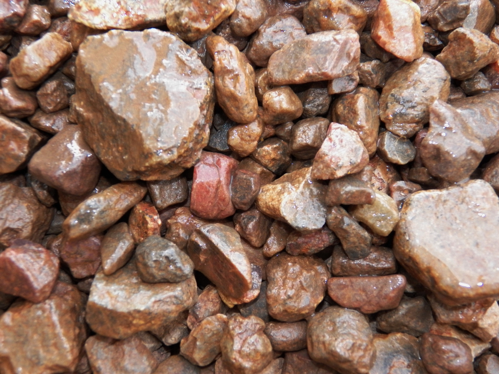 500 Carat Lots of Ruby Rough – Plus a FREE Faceted Gemstone