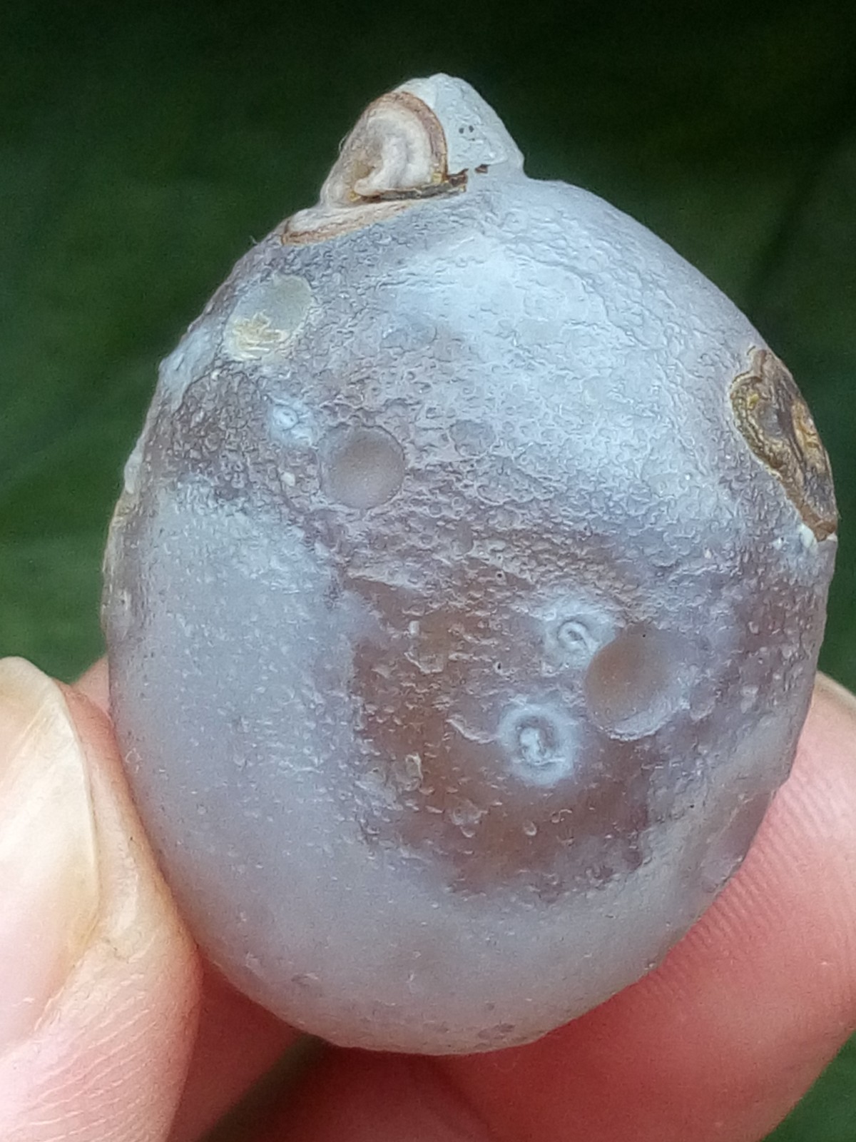 36mm Beautiful Natural agate Gobi agate eye agate stone cute collection