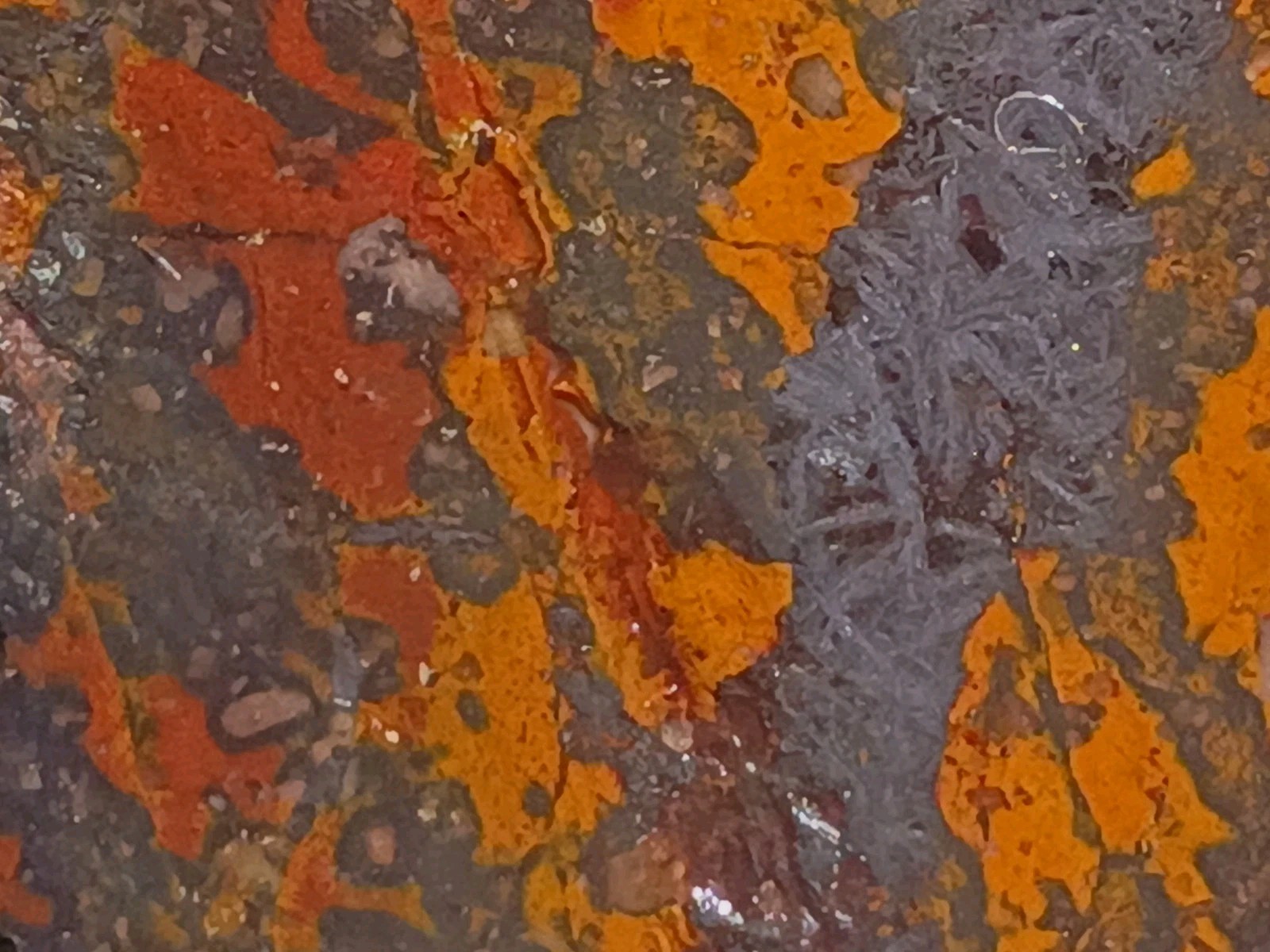 Historic Shepherds Fire Jasper Magnetite 315g Face Polished Slab Specimen MO
