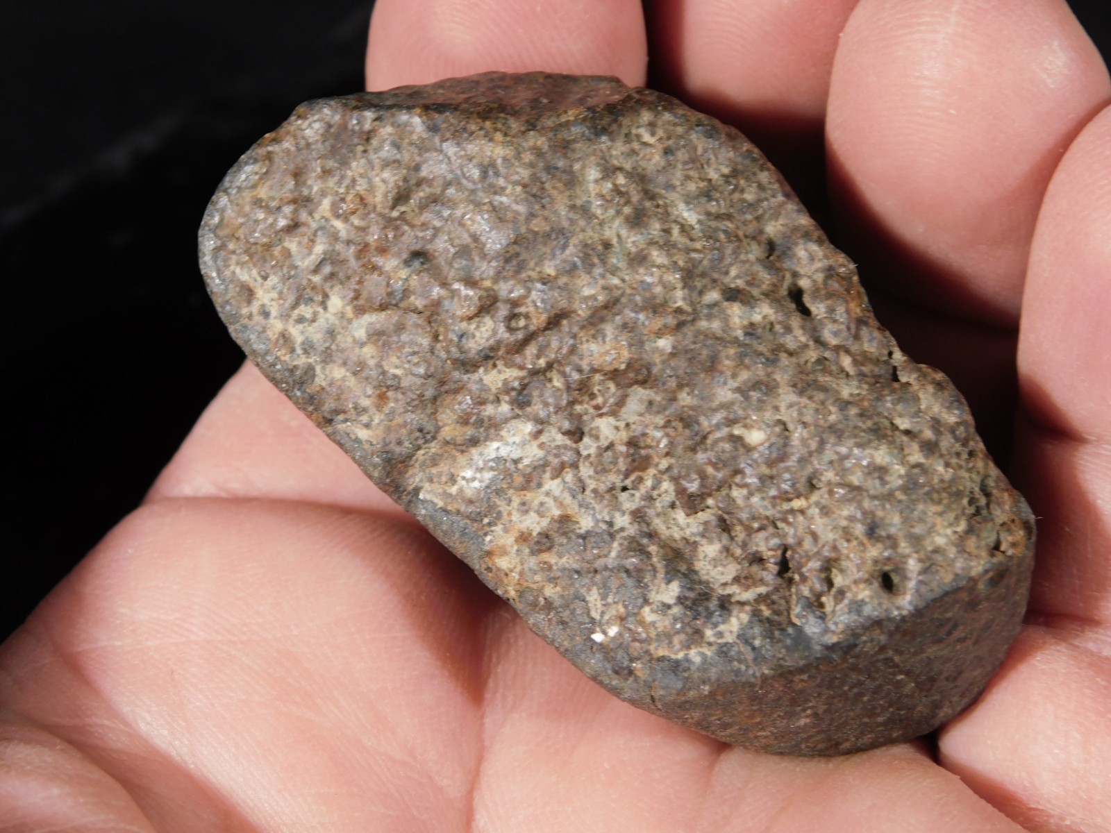 Stony N.W.A. METEORITE 100% Natural FELL in Libya 98.4gr