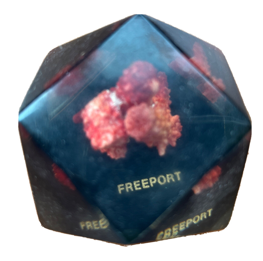 Vtg Lucite Resin 3D Hexagon W/ Red Coral ocean Art Paperweight Decor. Freeport