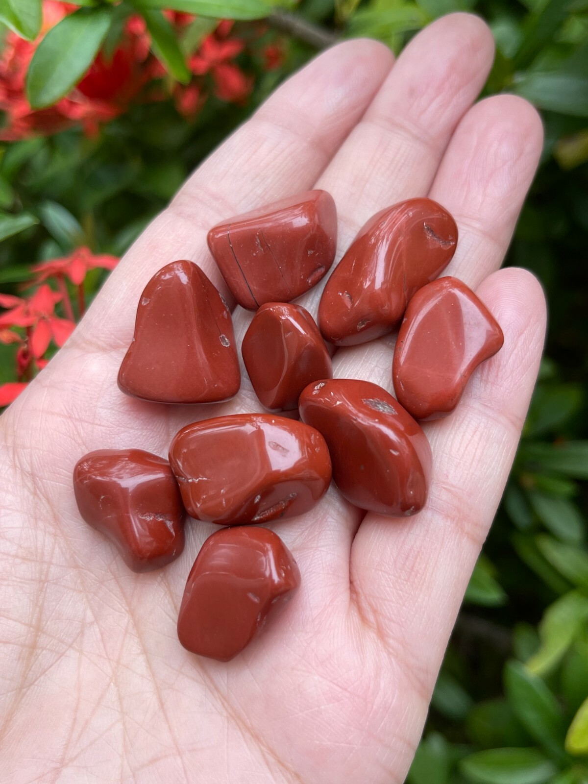 Red Jasper Tumbled Stones, 0.5″-1″ S to M Size Tumbled Red Jasper, Pick A Weight