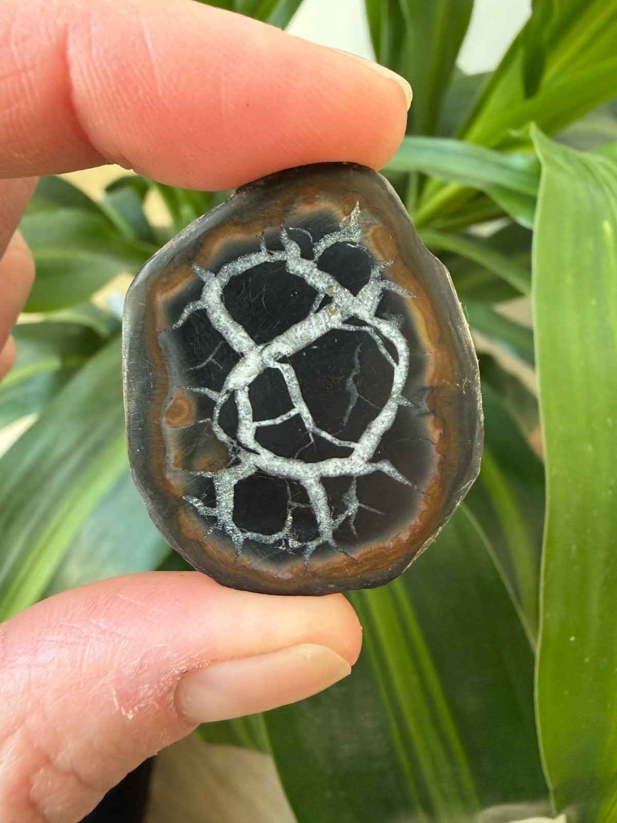 Polished Septarian Geode Matching Pair 1.65oz – Moroccan Dragon Stone Specimen