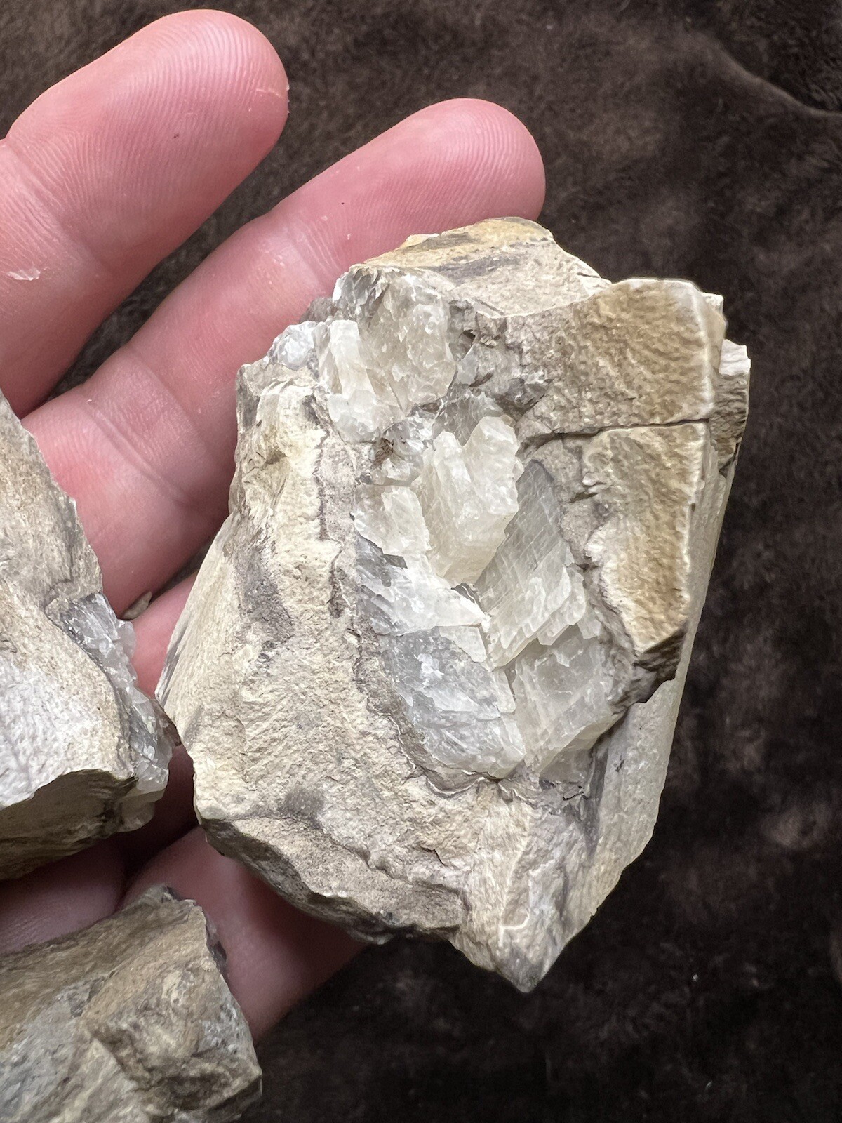raw natural quartz crystal North East Mississippi Outcrop 5 Pieces