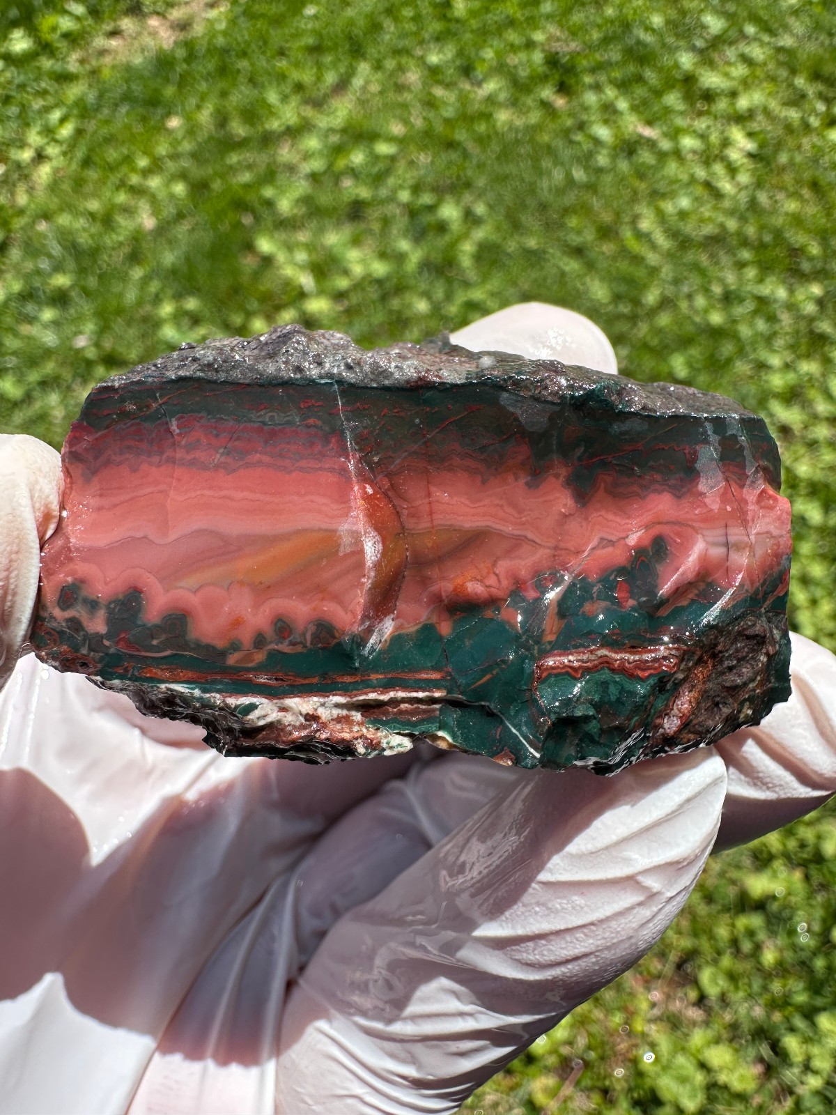 PREMIUM SPECIMEN__RARE Idaho Sunset Jasper / Agate Rough – Lemhi County, Idaho