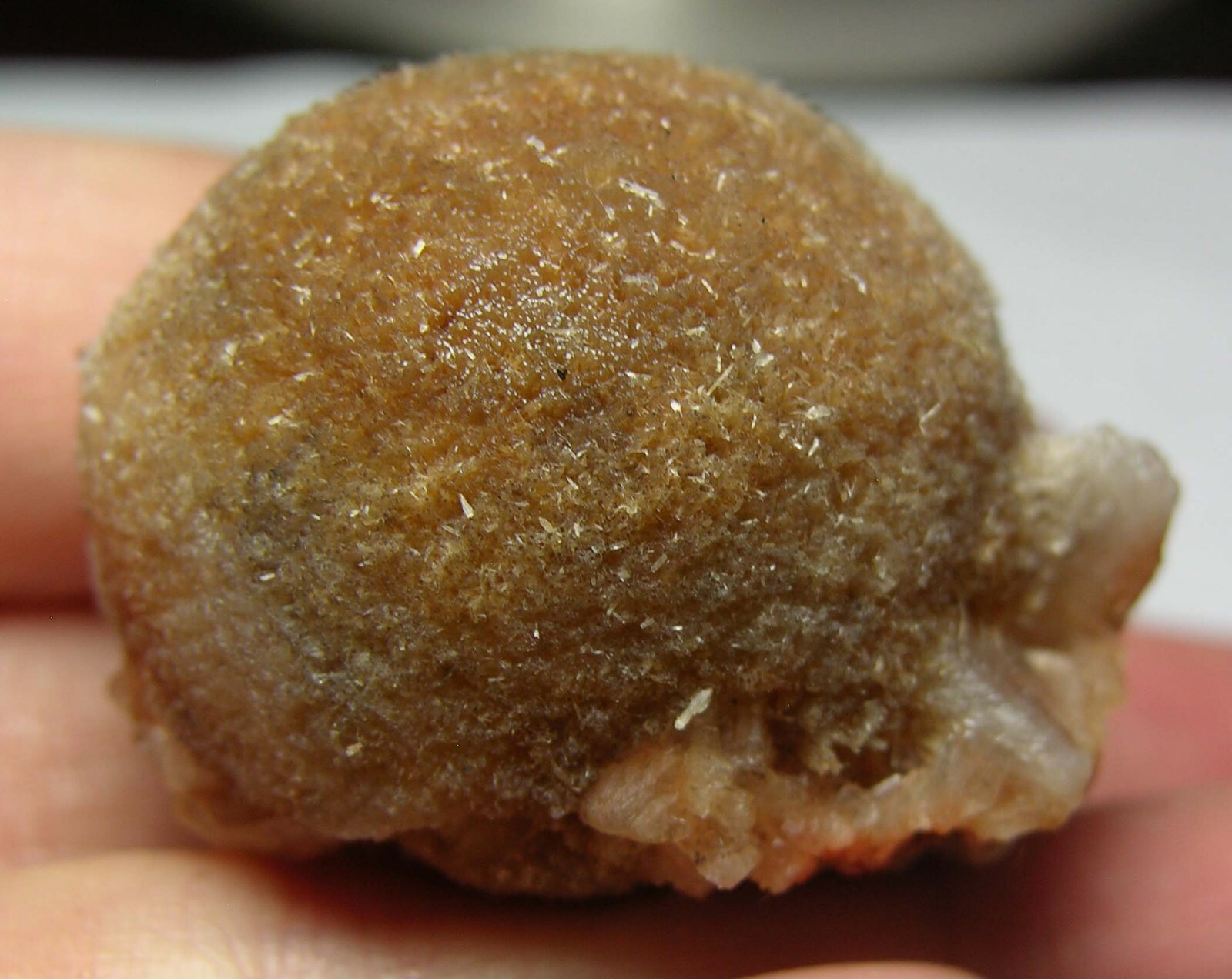 #8 India 1 1/2 in Brown Thomsonite Crystal With Stilbite Specimen 38.00mm