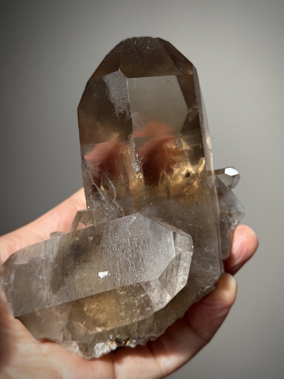 Diamantina Quartz Crystal Starbrary Quartz Natural Smoky Quartz Brazil Crystal