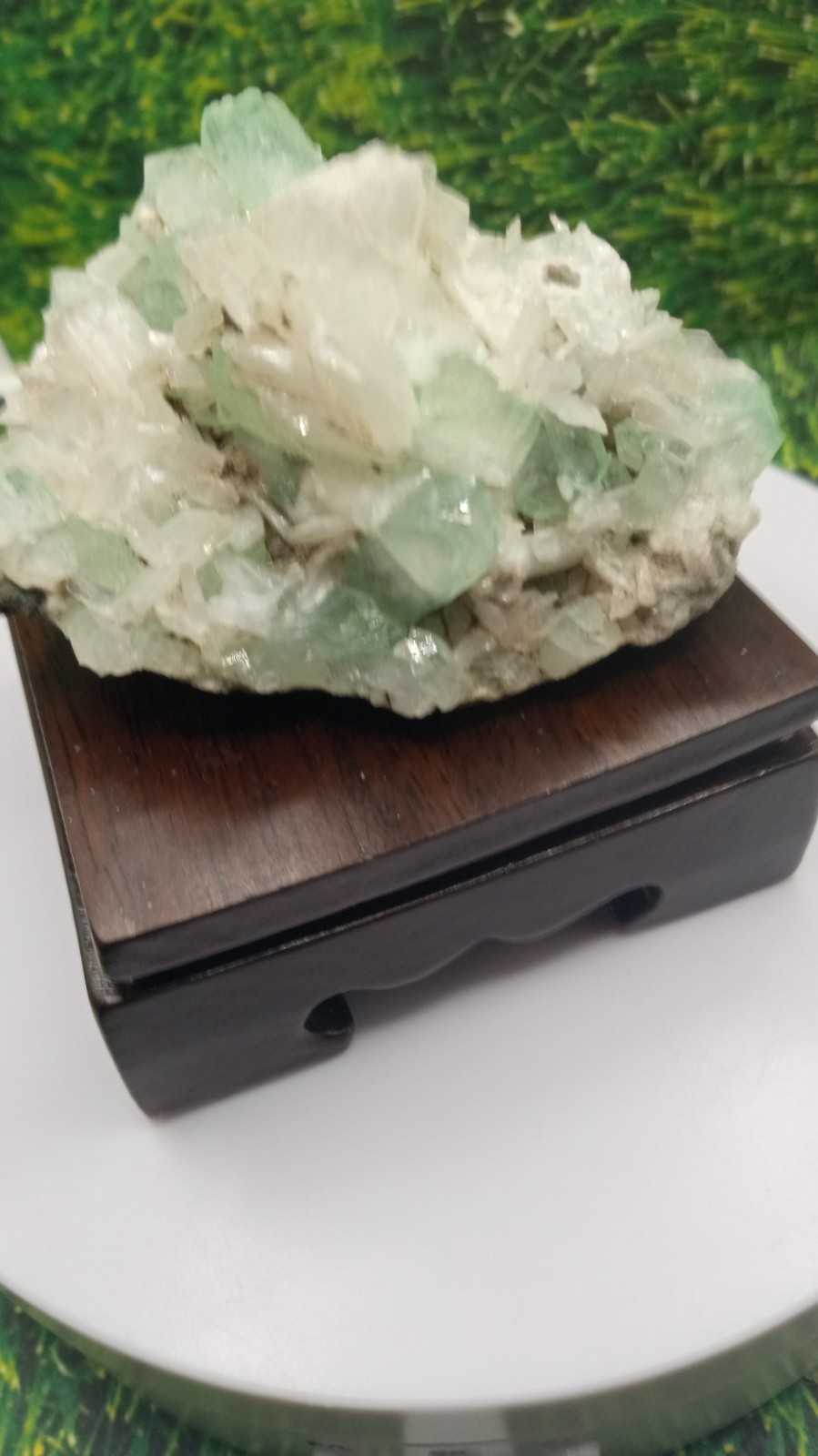 Green Fluorapophyllite w/ Apophyllite & Stilbite / Cherry Wood Stand ~ INDIA ~