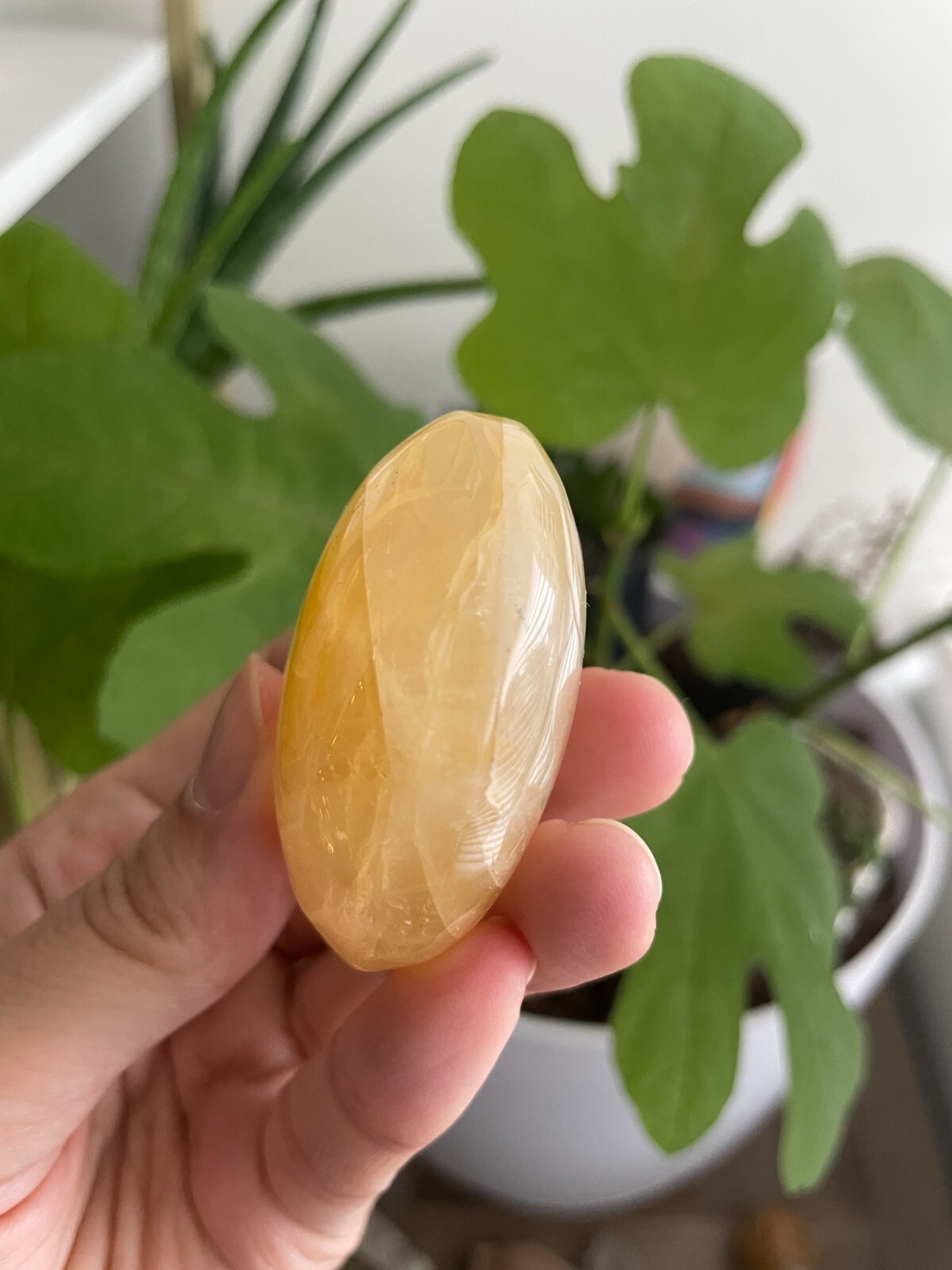 Polished Golden Healer Palm / Palmstone, Medium, approx. 2″H, 70 grams
