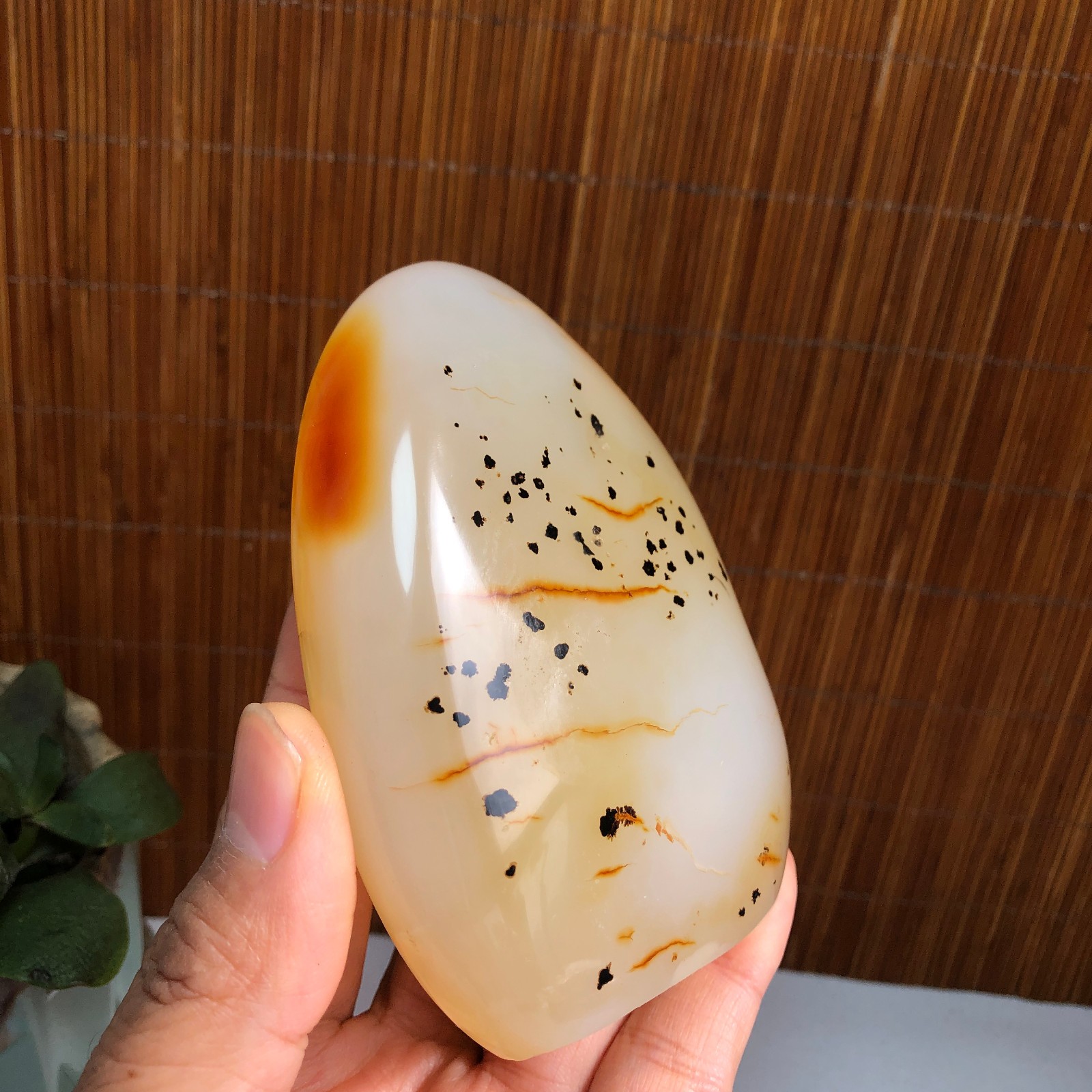 Natural aquatic plants agate pretty Crystal specimens free standing 288g A1487