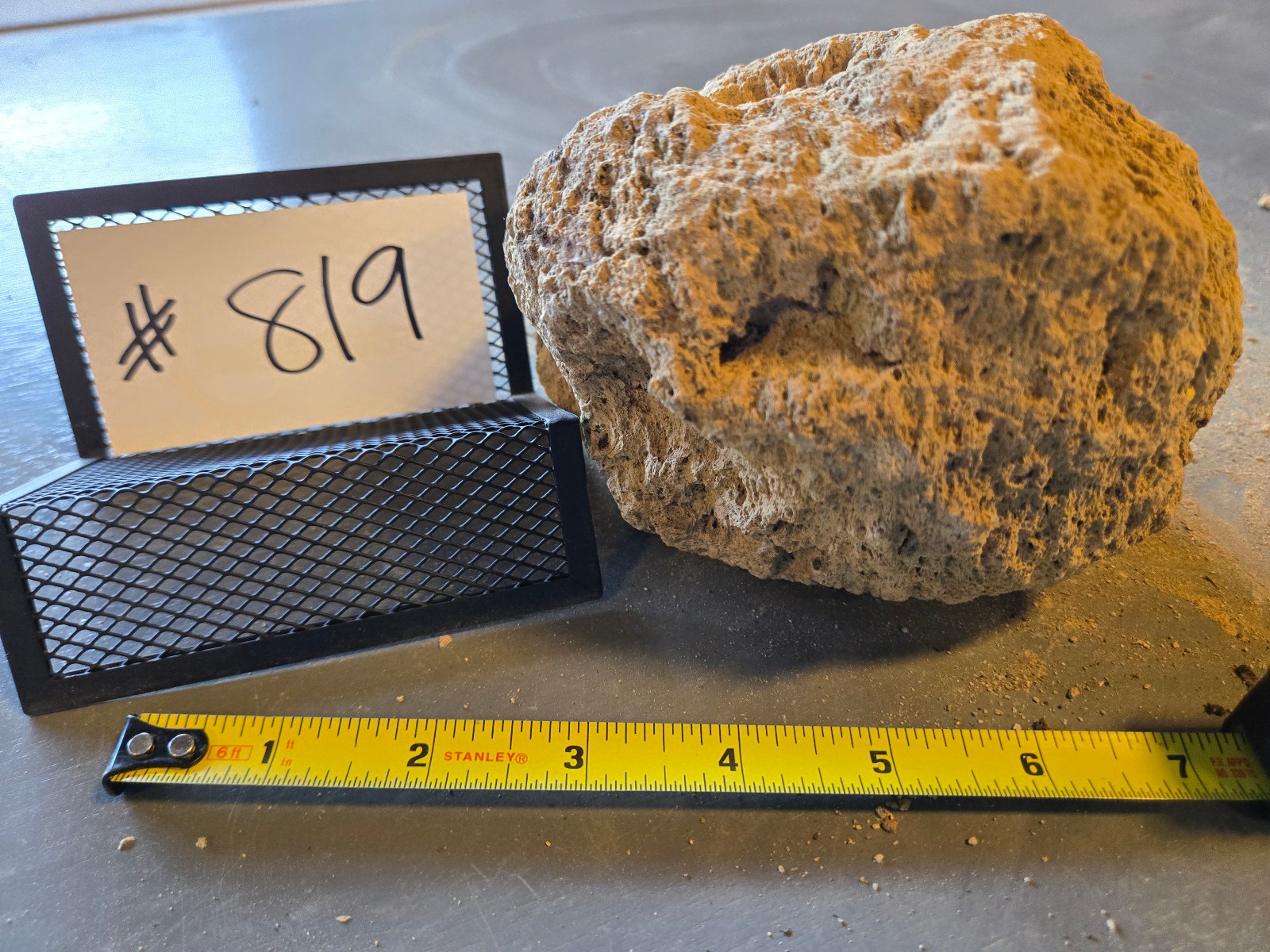 5″ Medium Pumice Stone Floating Natural Rock Carnivorous Succulent Garden #819