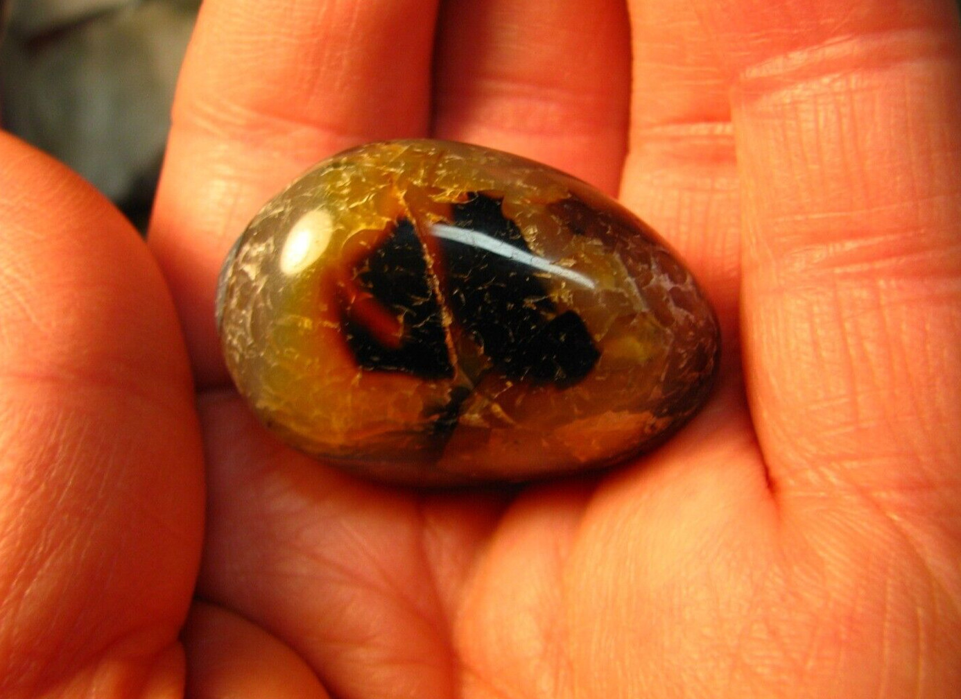 41g 40mm DENDRITIC CHALCEDONY AGATE PALM STONE MADAGASCAR MAD CRAZY LACE #014