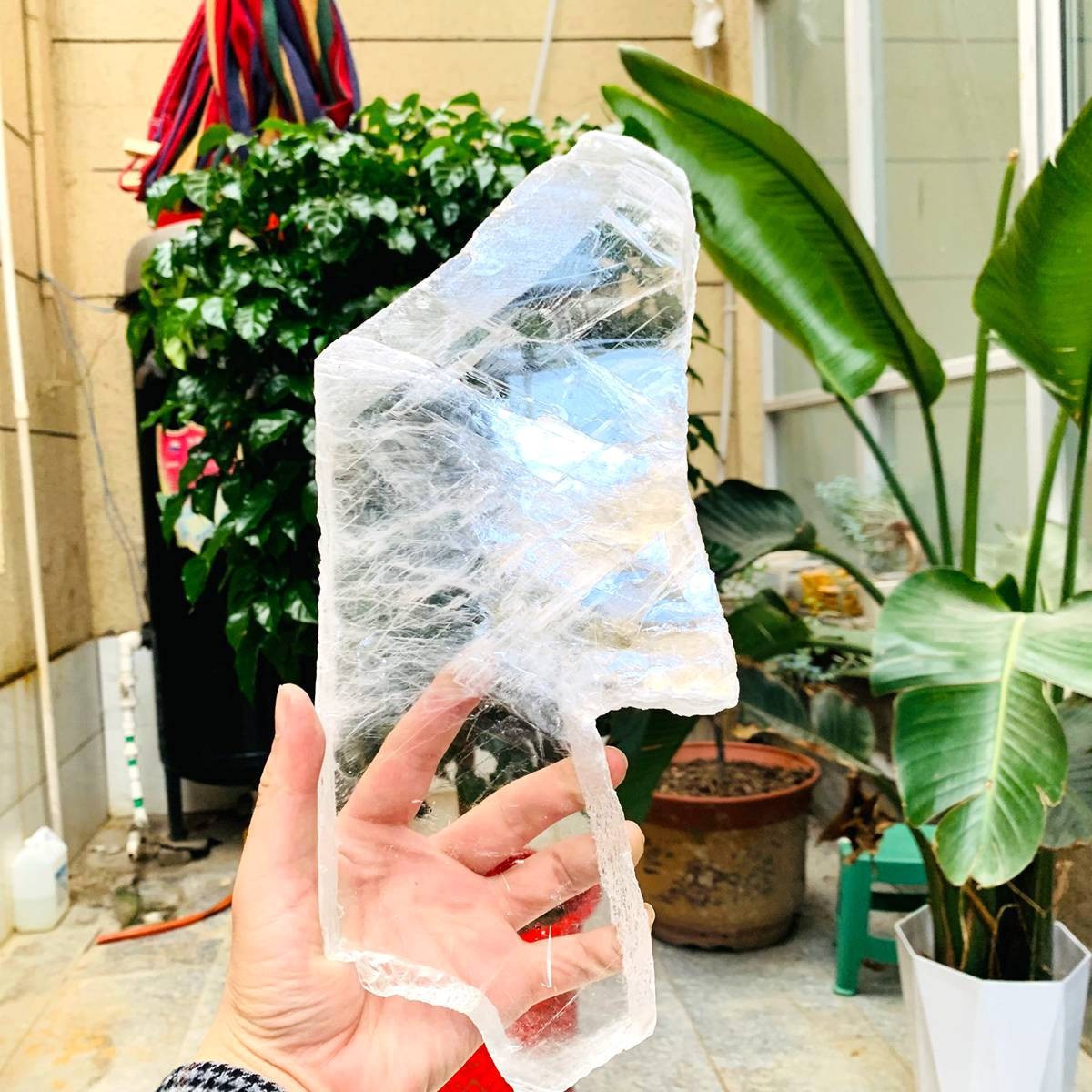 2.84LB Natural Clear Transparent Selenite Slab Gypsum Crystal Mineral Specimen